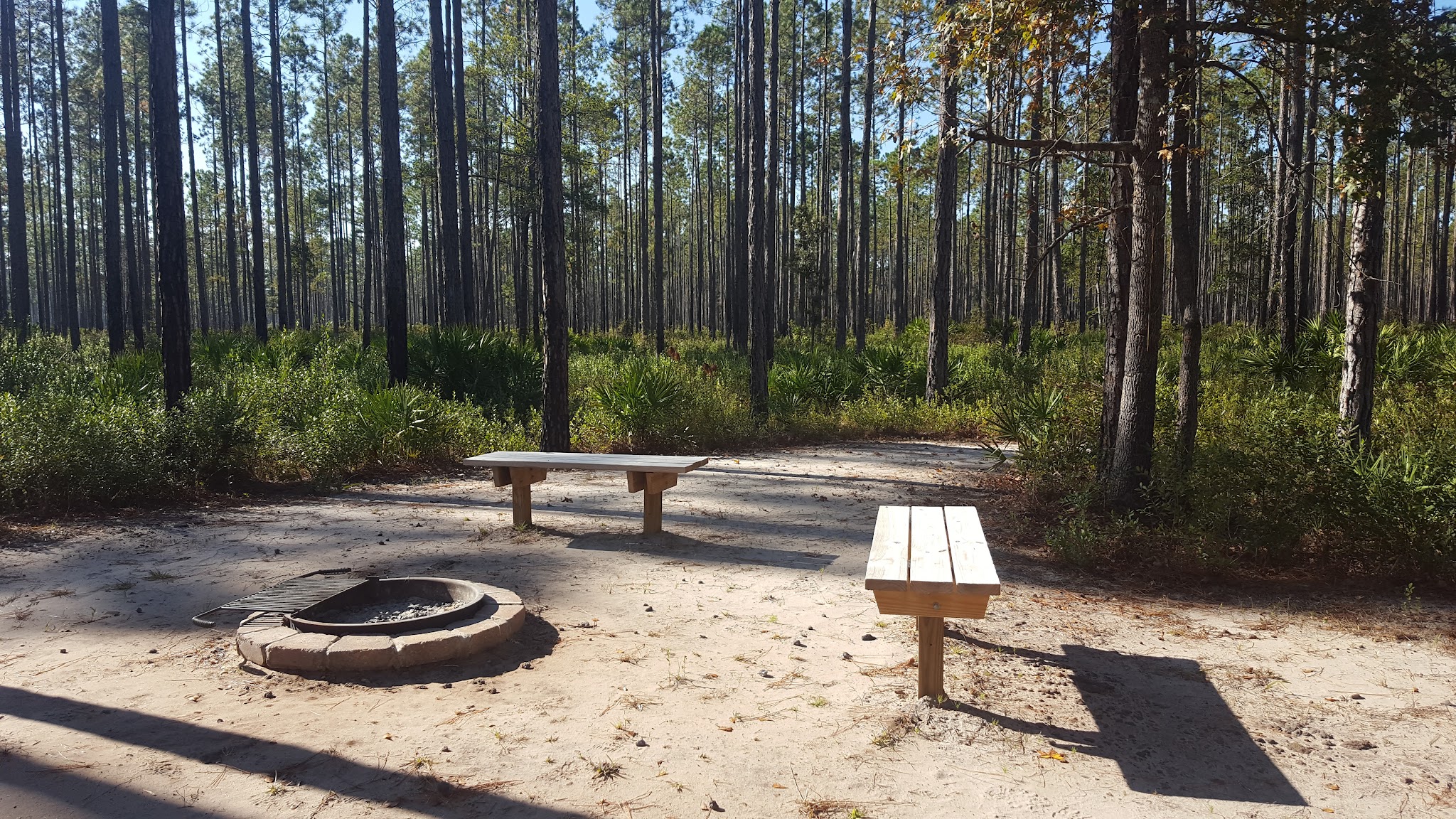 Cary State Forest Campground