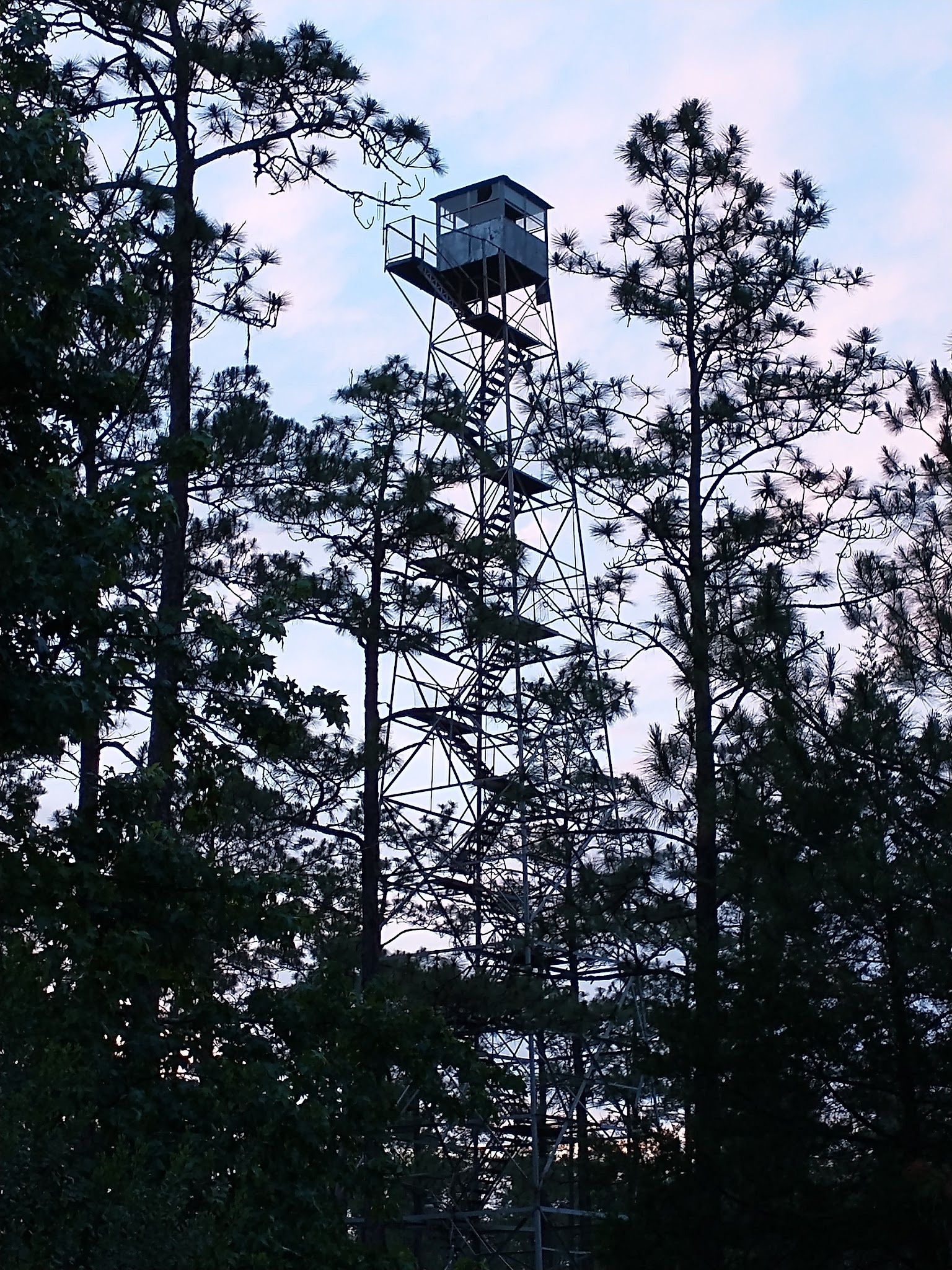 Cary State Forest Campground
