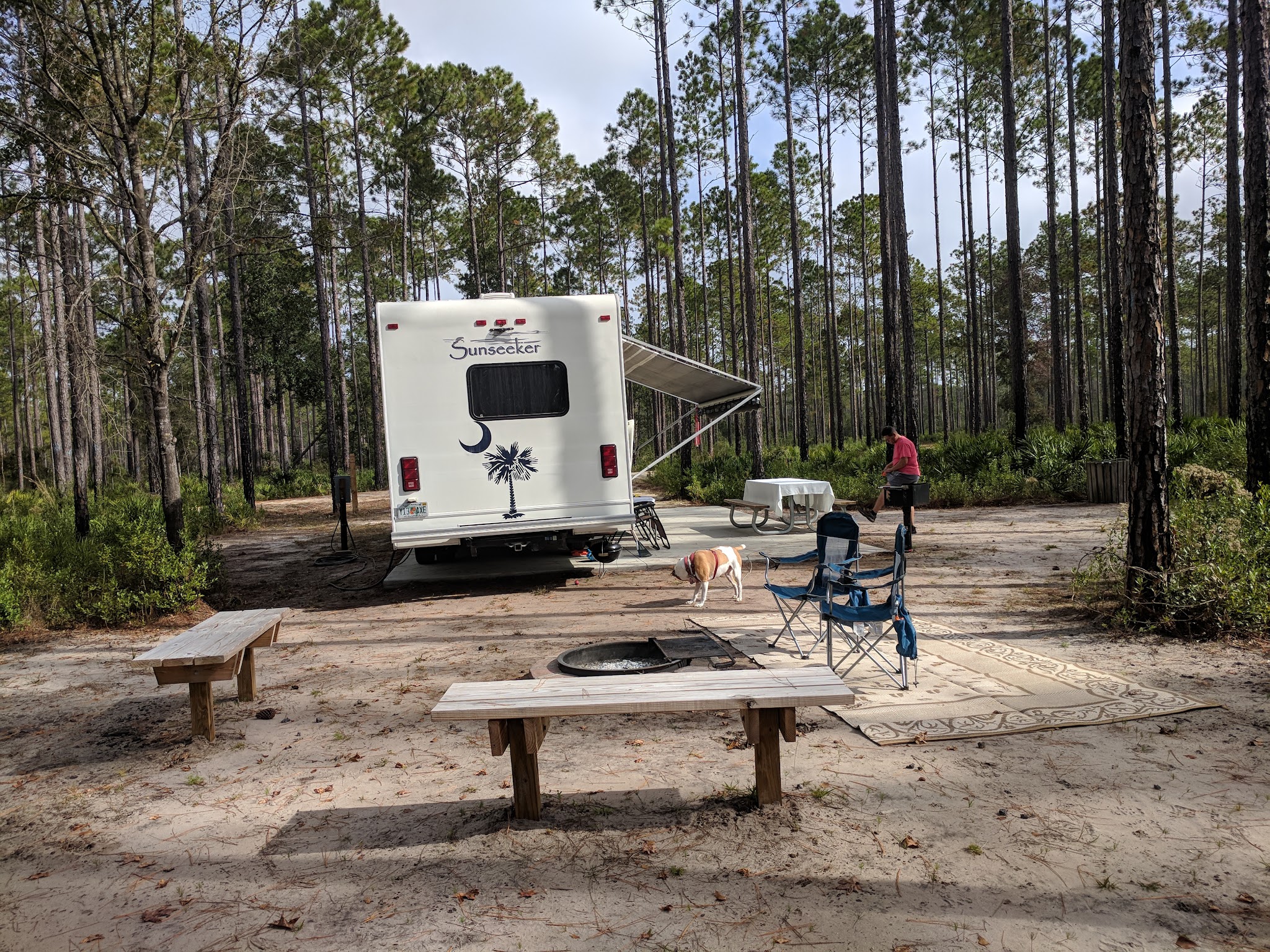 Cary State Forest Campground