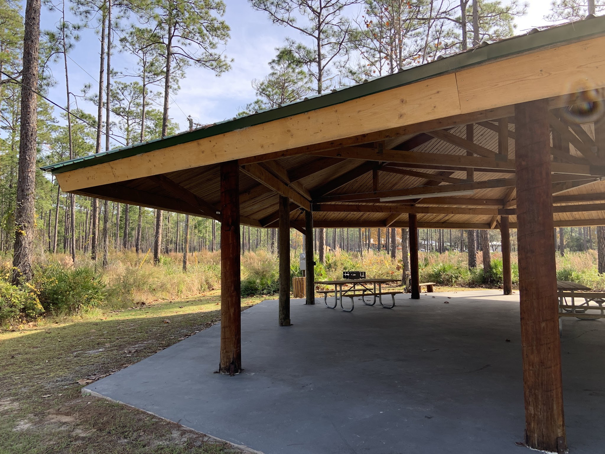 Cary State Forest Campground