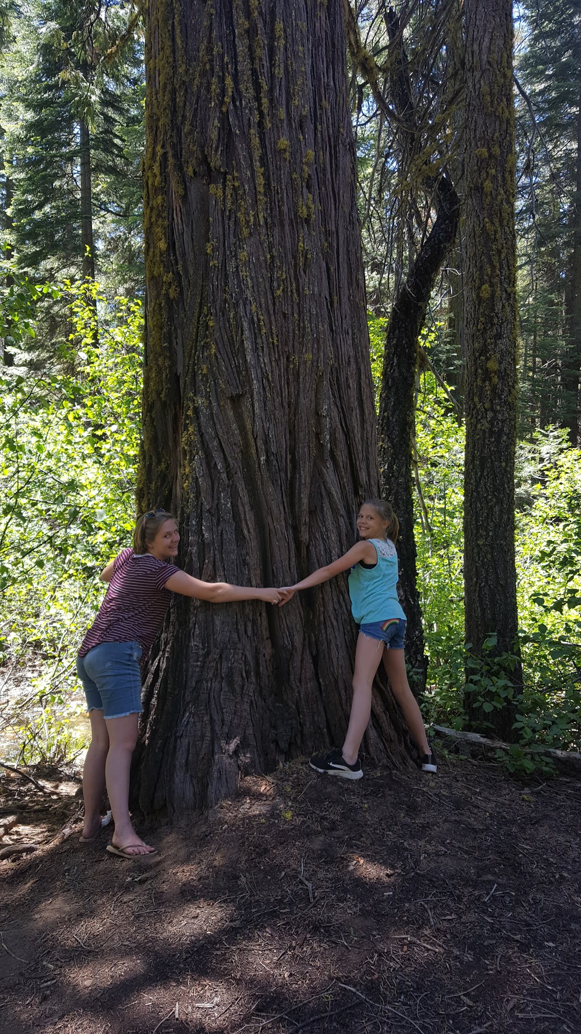 Cascade Creek Campground