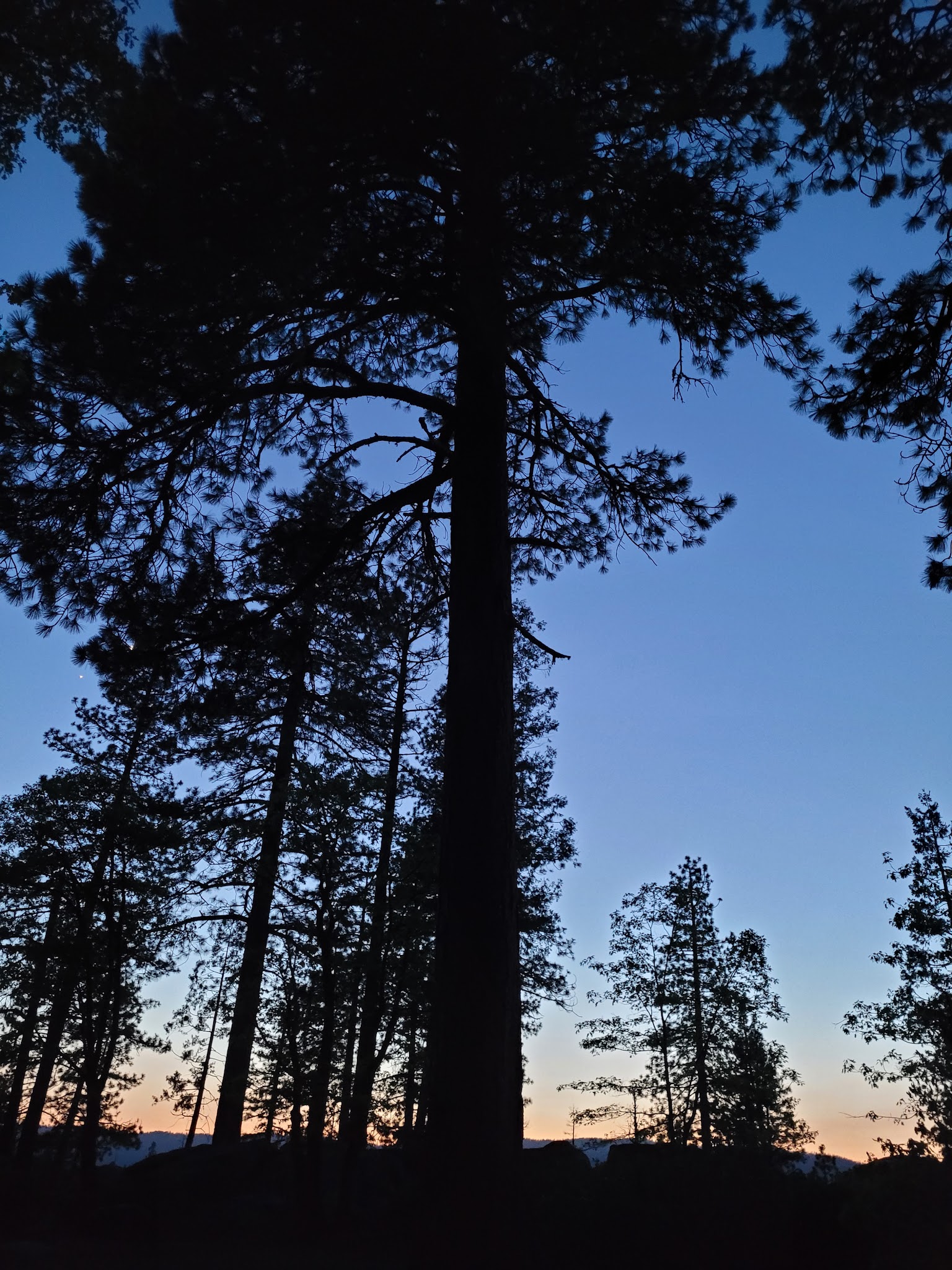 Cascade Creek Campground
