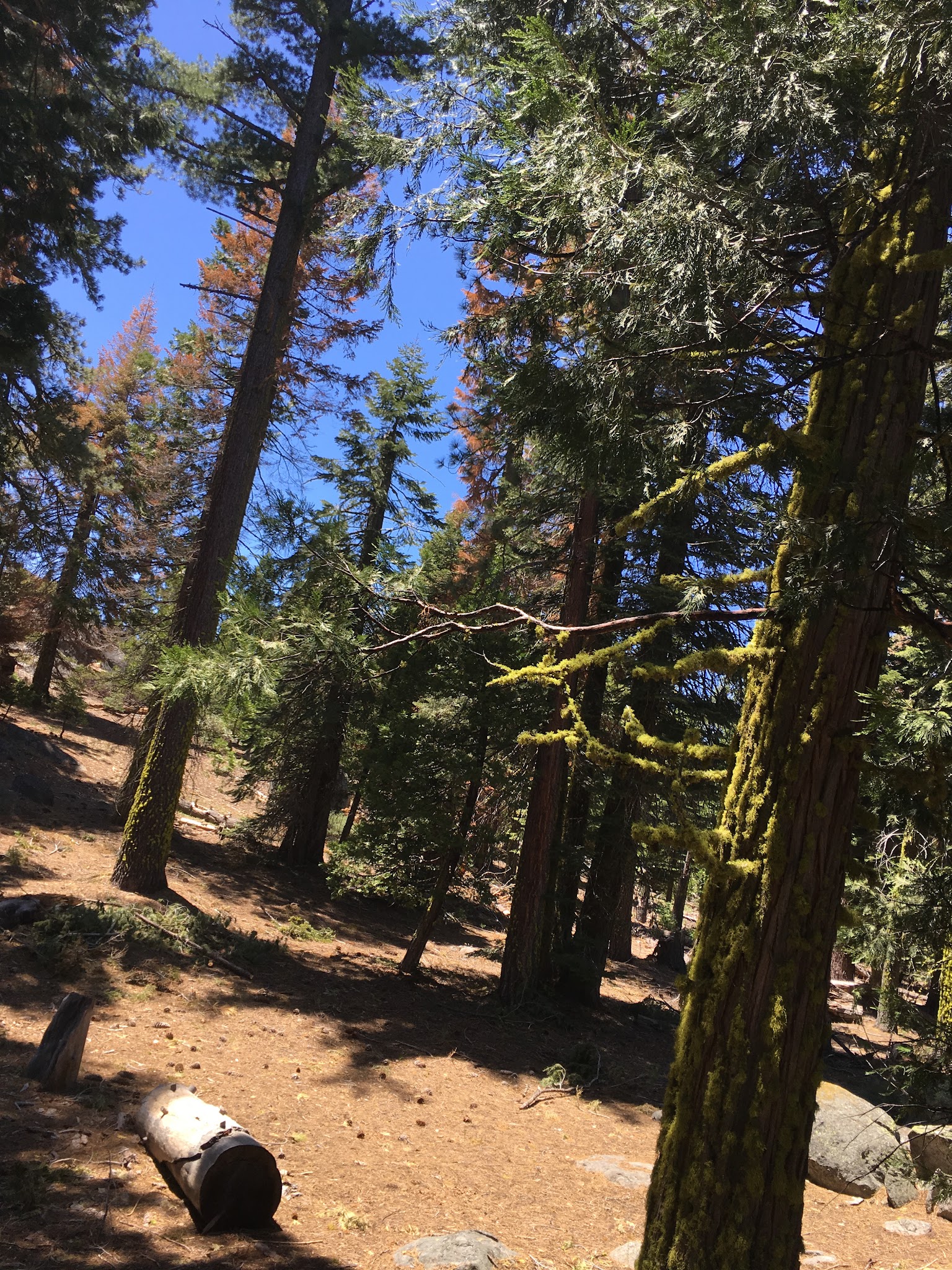 Cascade Creek Campground