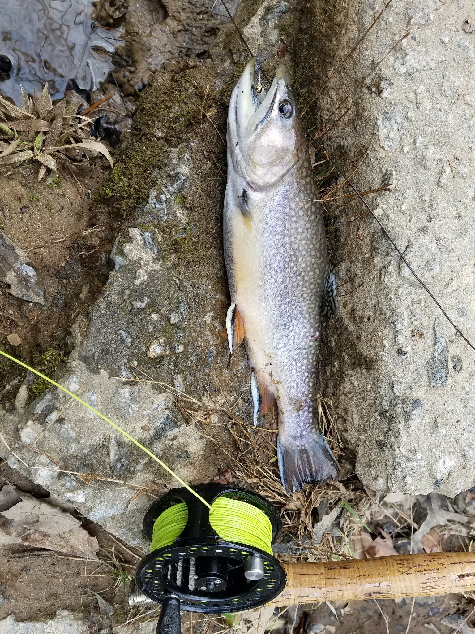 Cassidy Bridge Hunt Camp