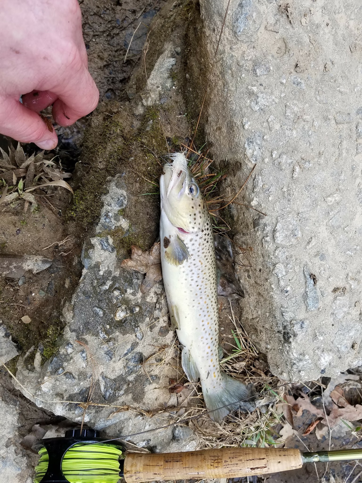 Cassidy Bridge Hunt Camp