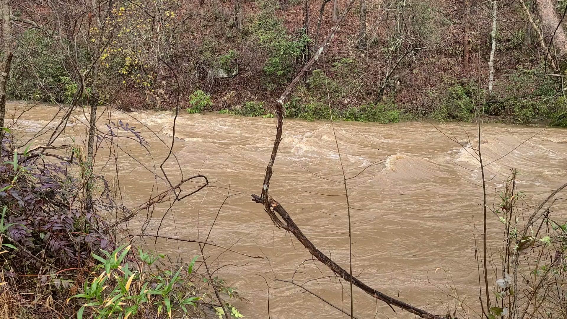 Cassidy Bridge Hunt Camp