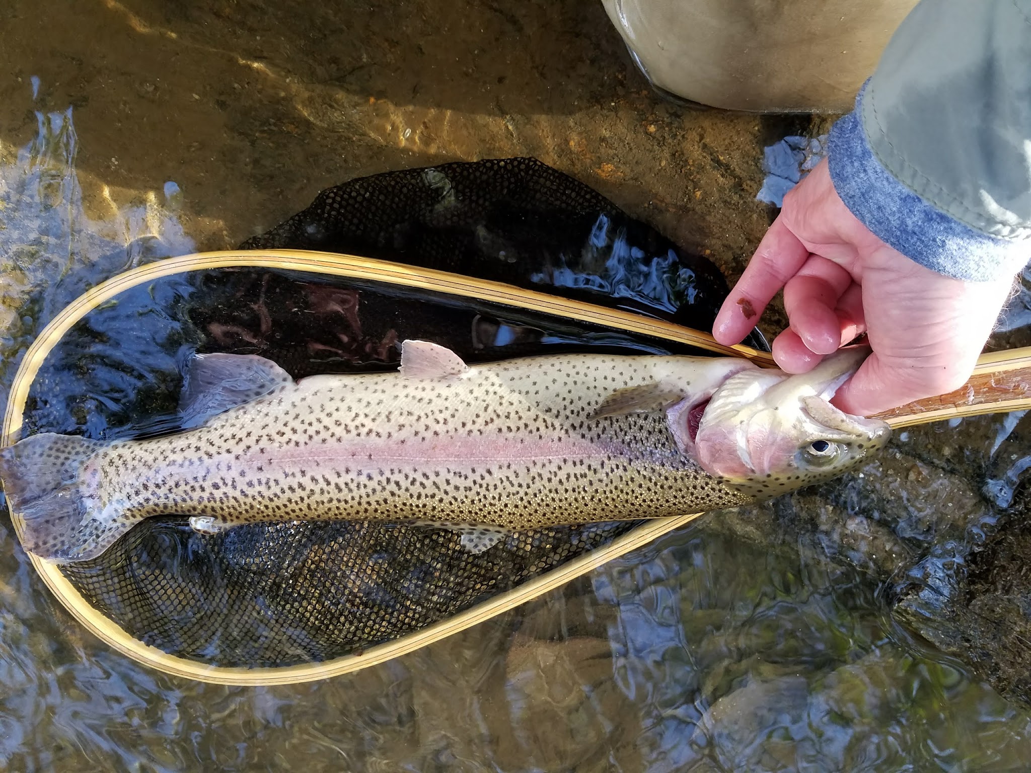 Cassidy Bridge Hunt Camp