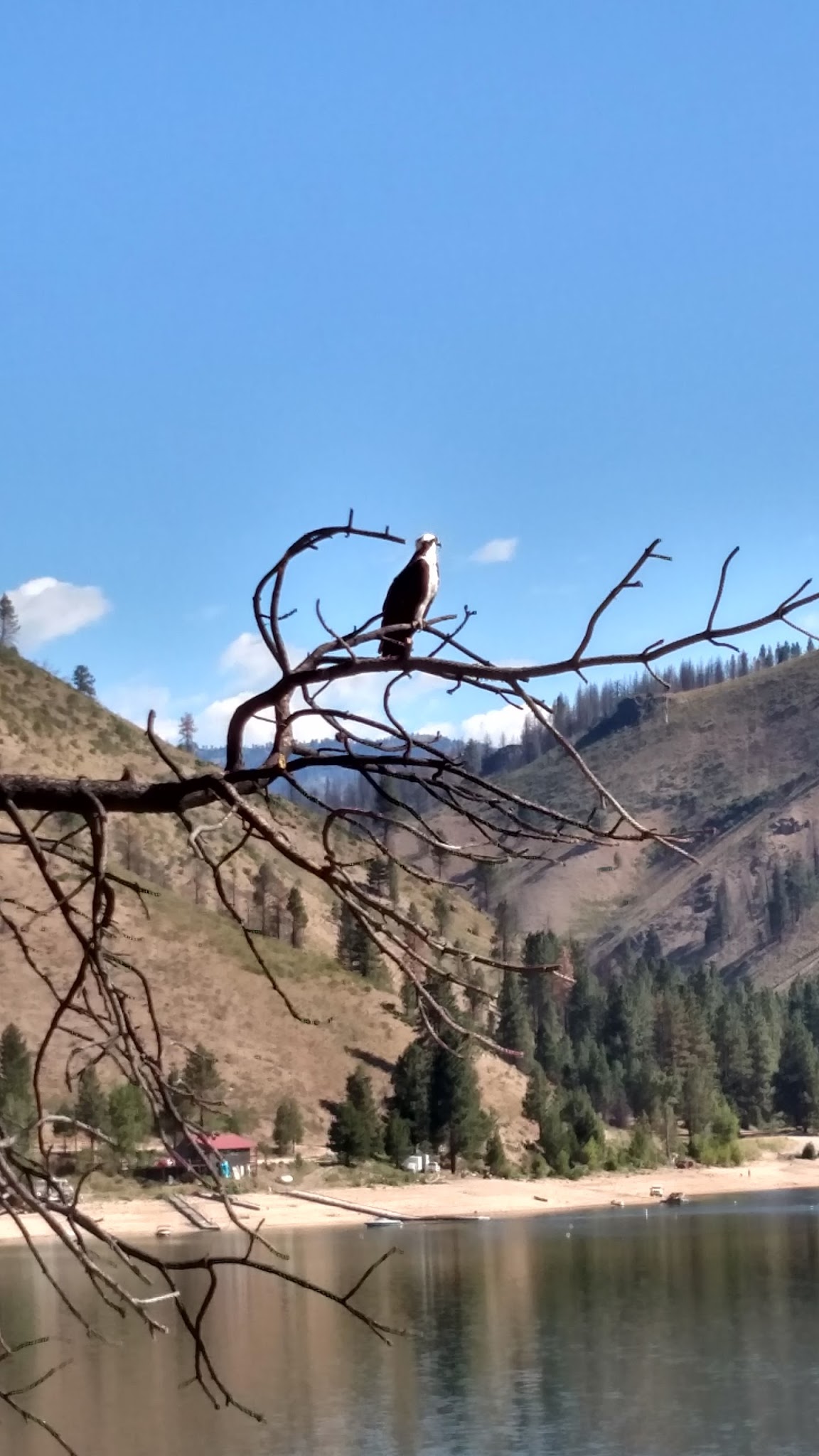 Castle Creek Campground