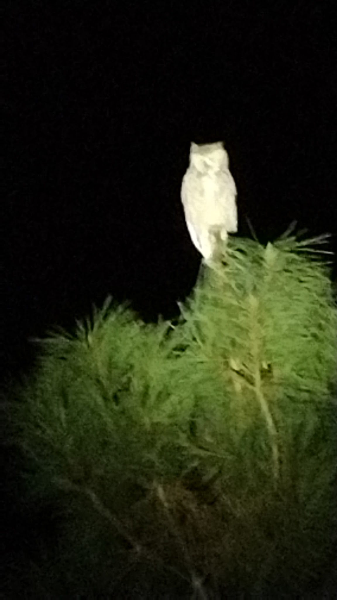 Castle Creek Campground