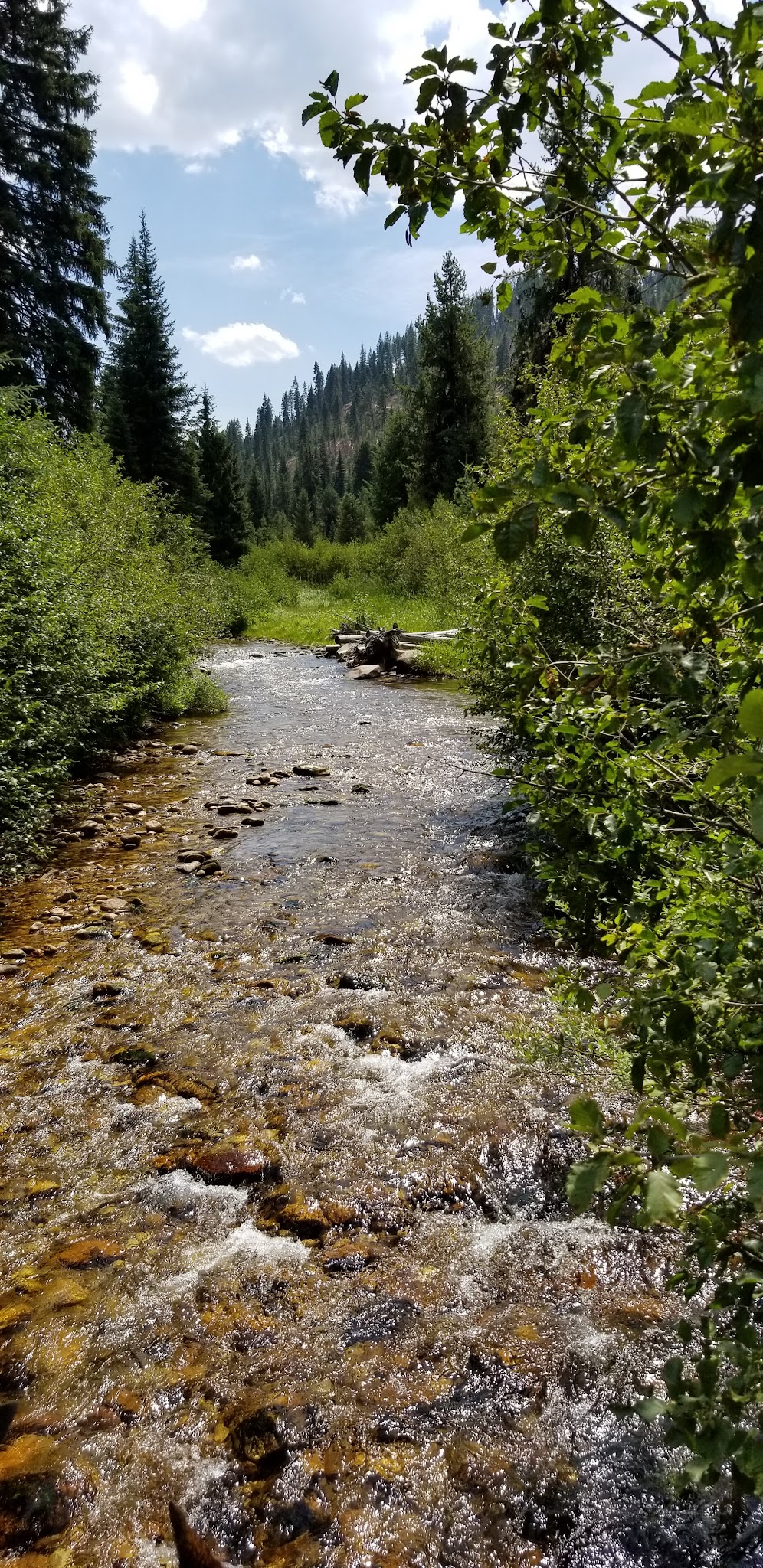 Castle Creek Campground