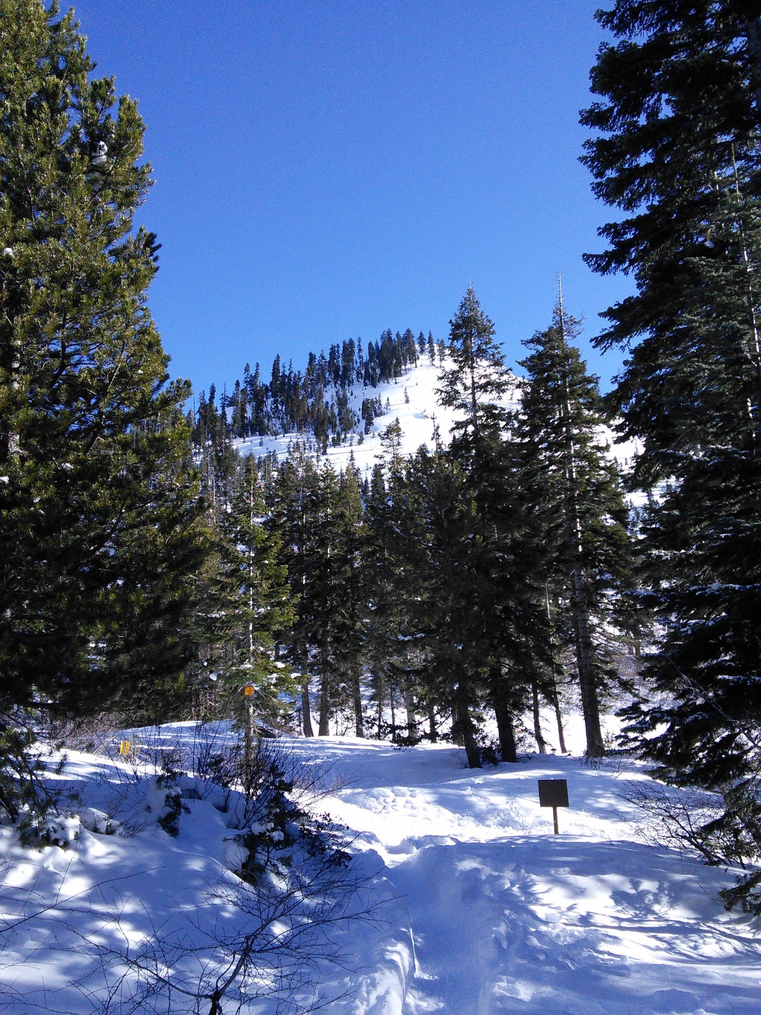Castle Lake Campground