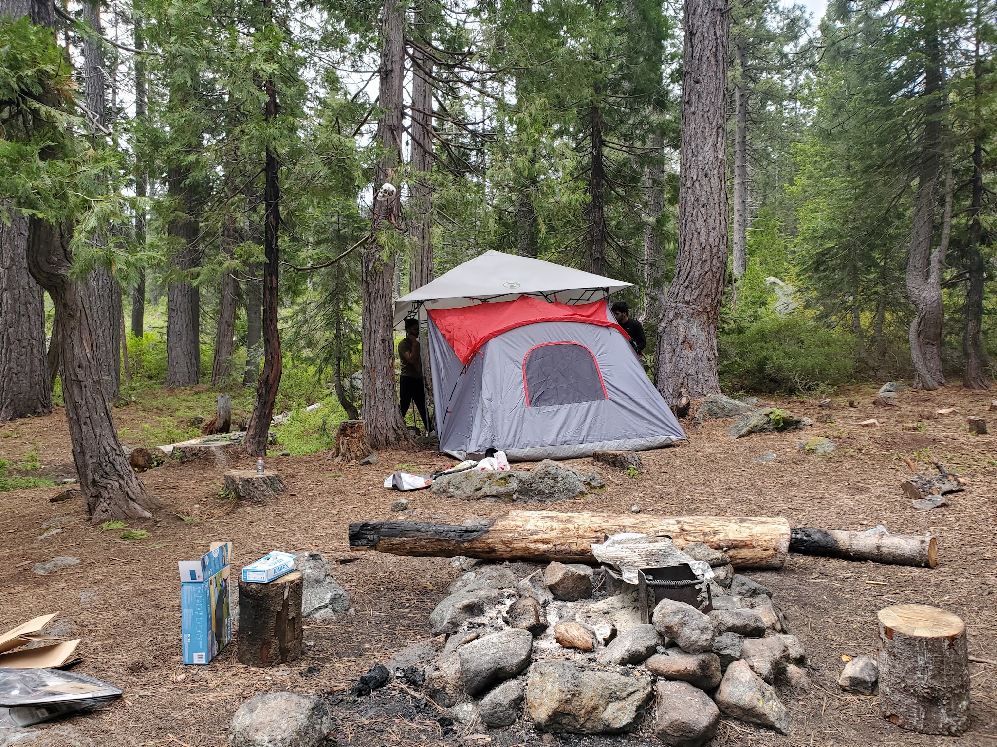 Castle Lake Campground