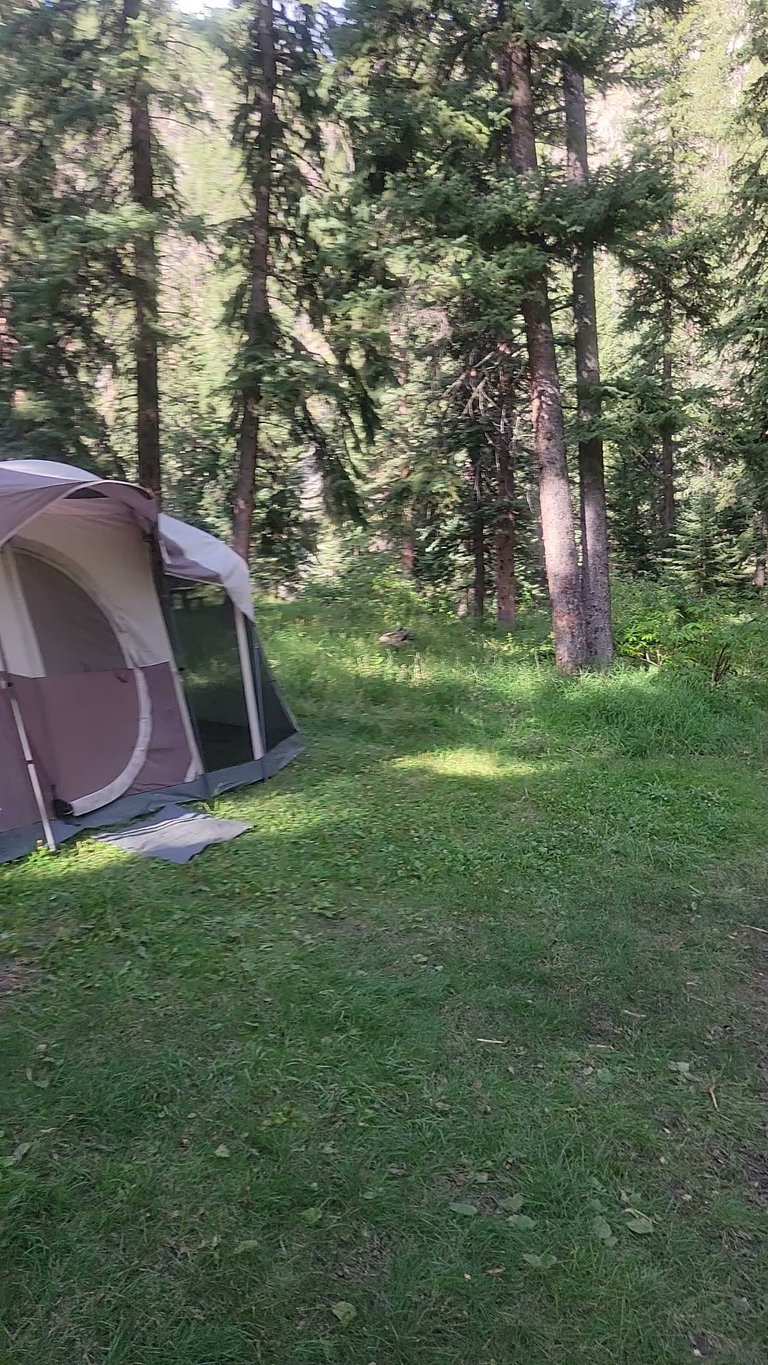 Castle Peak Campground