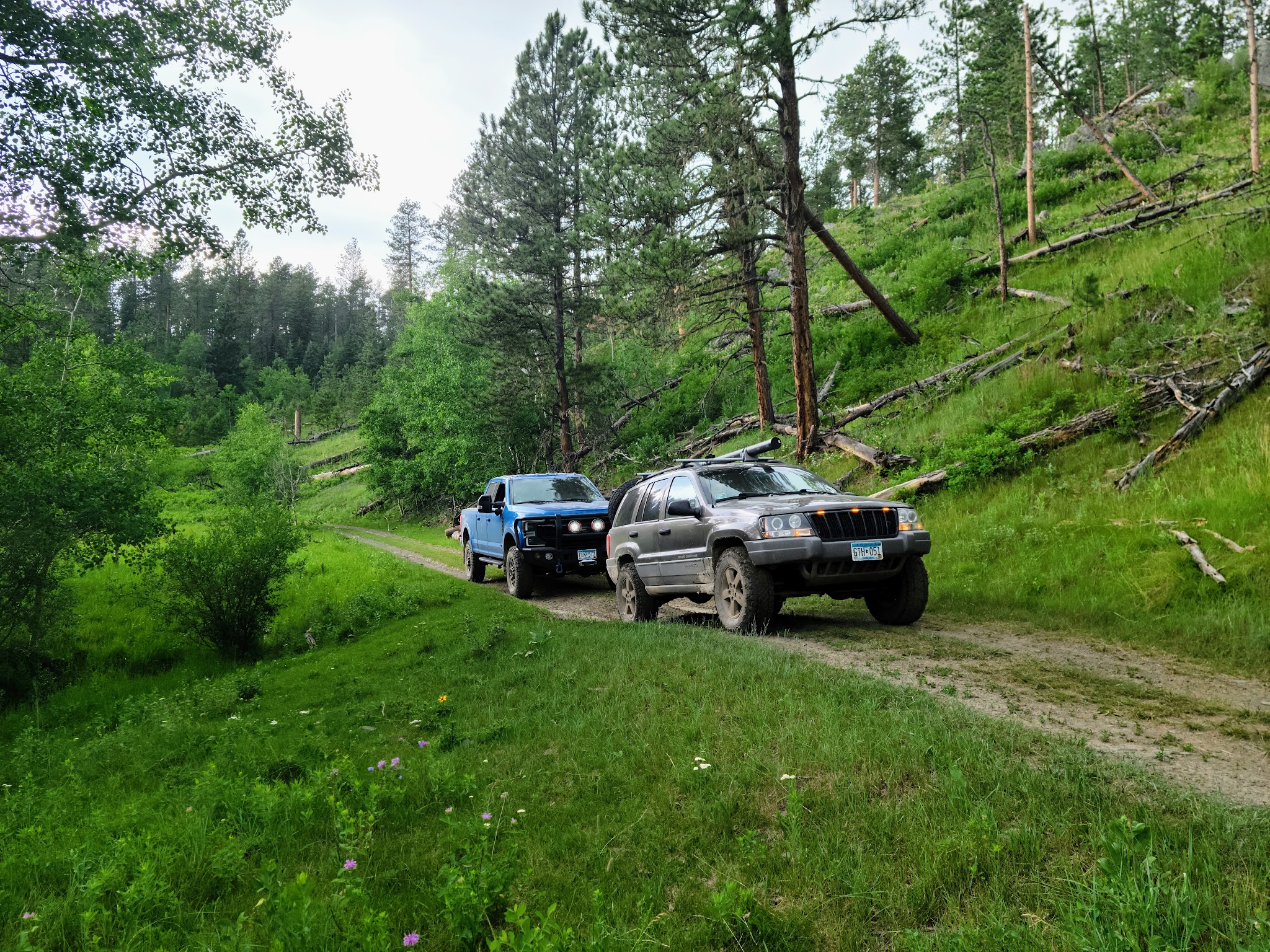 Castle Peak Campground