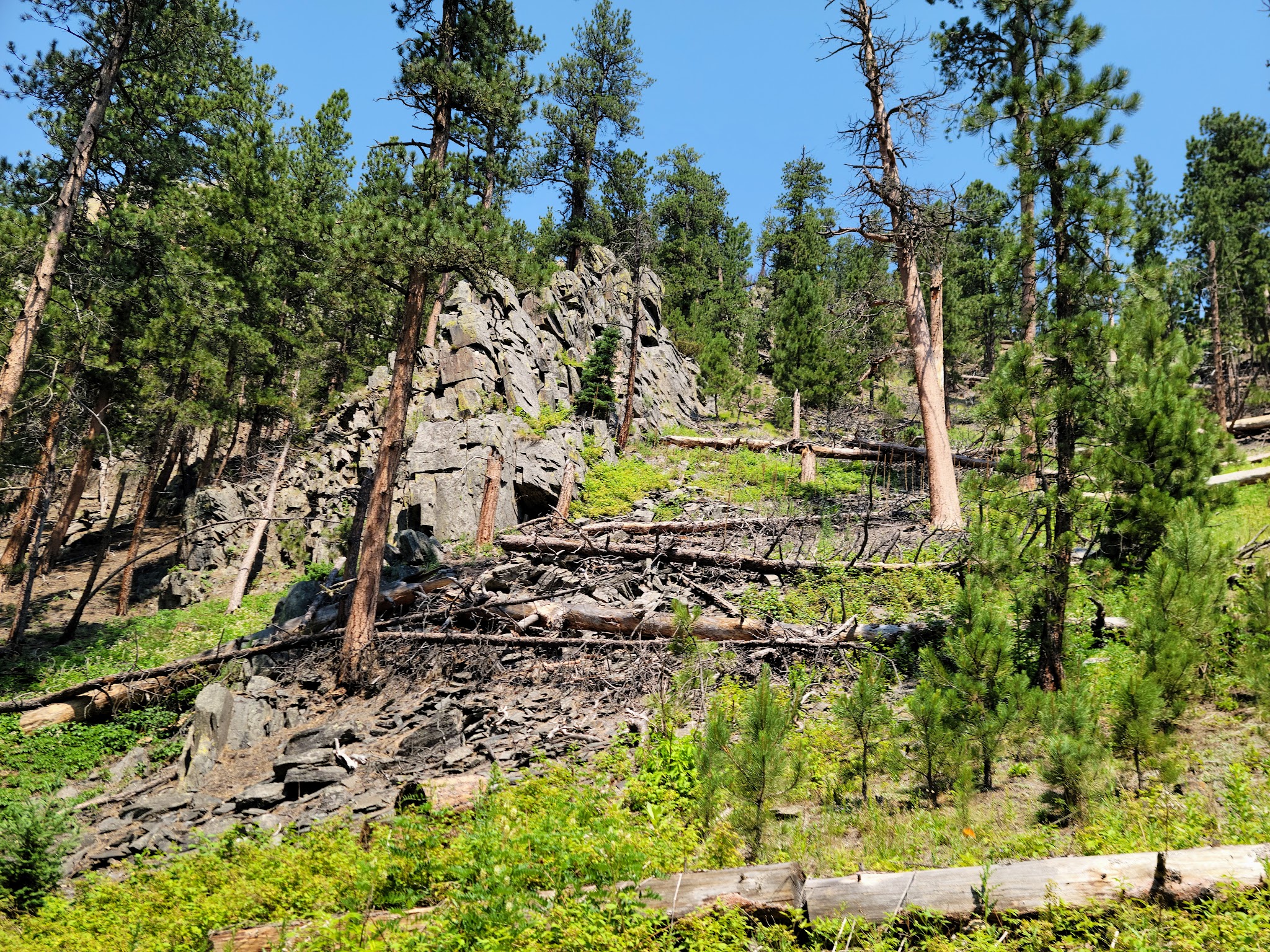 Castle Peak Campground