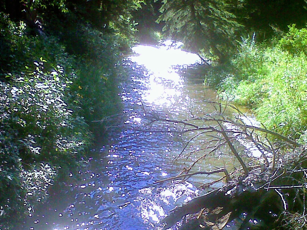 Castle Peak Campground