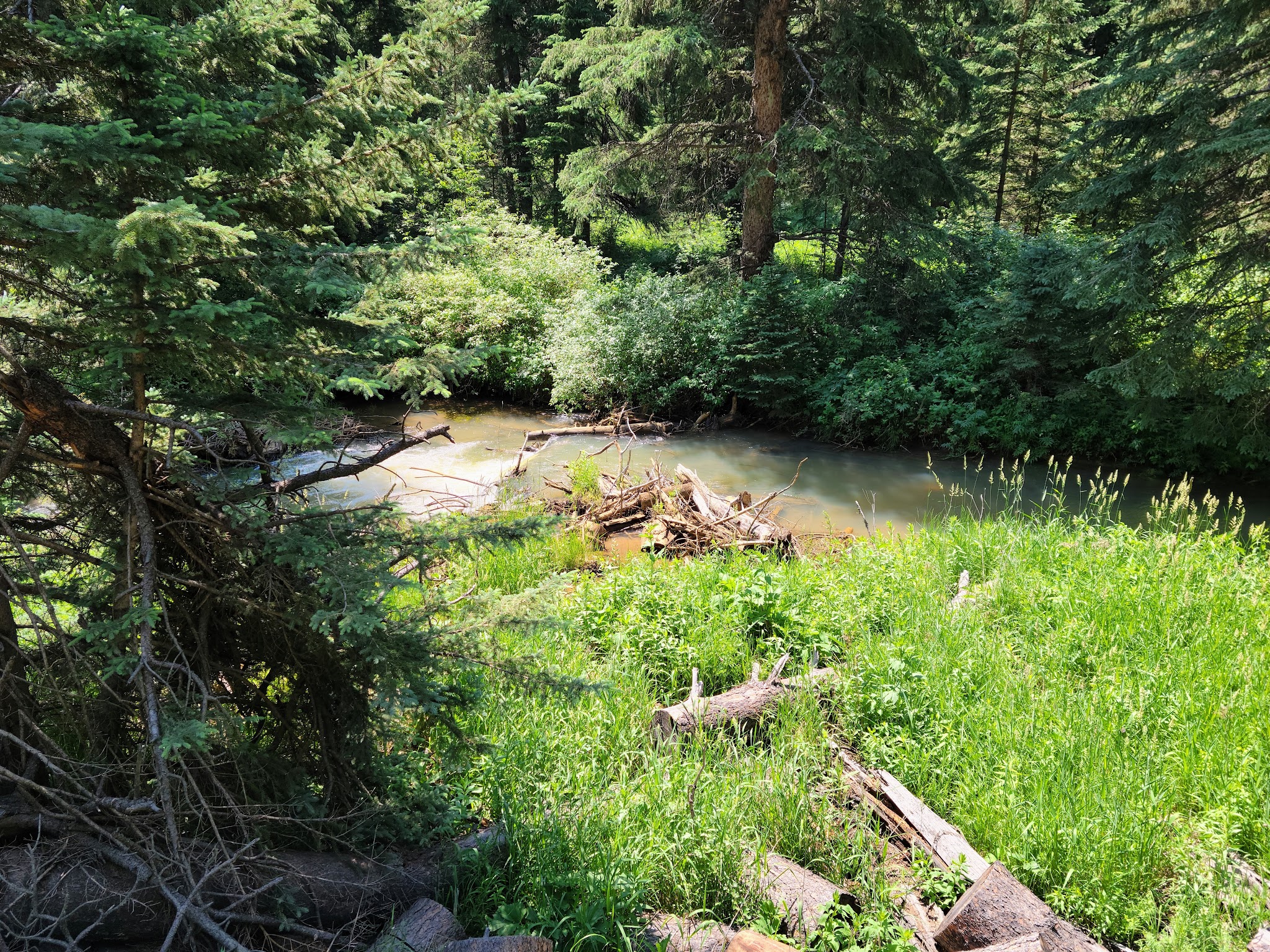 Castle Peak Campground