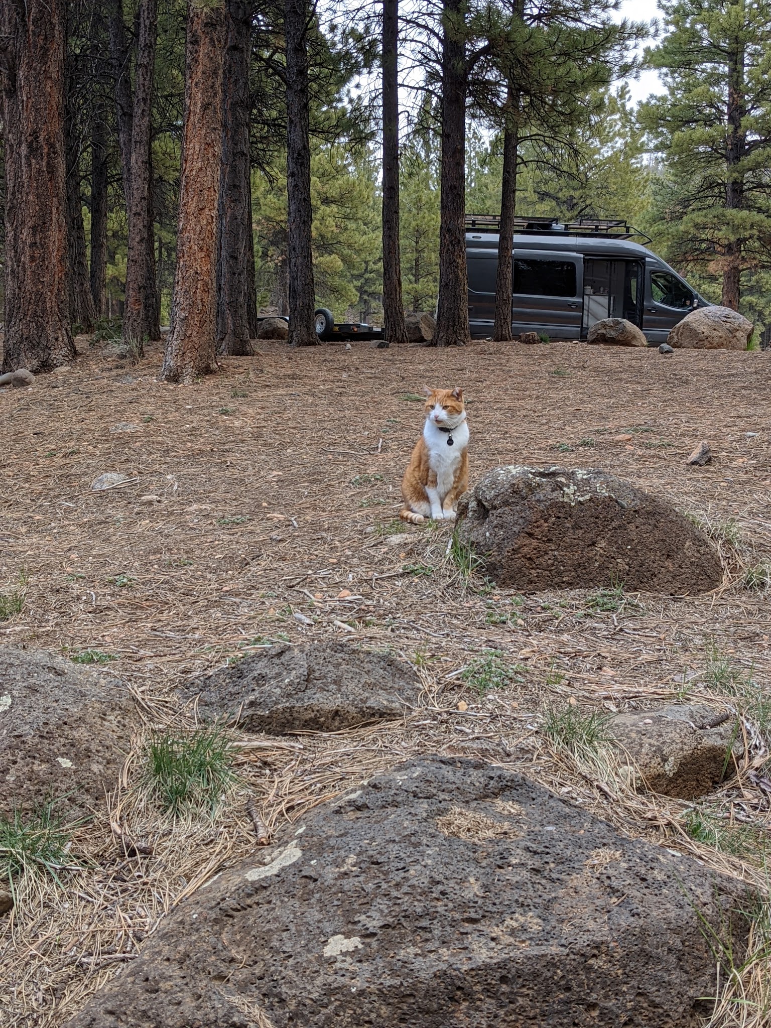 Mammoth Designated Dispersed Camping Area