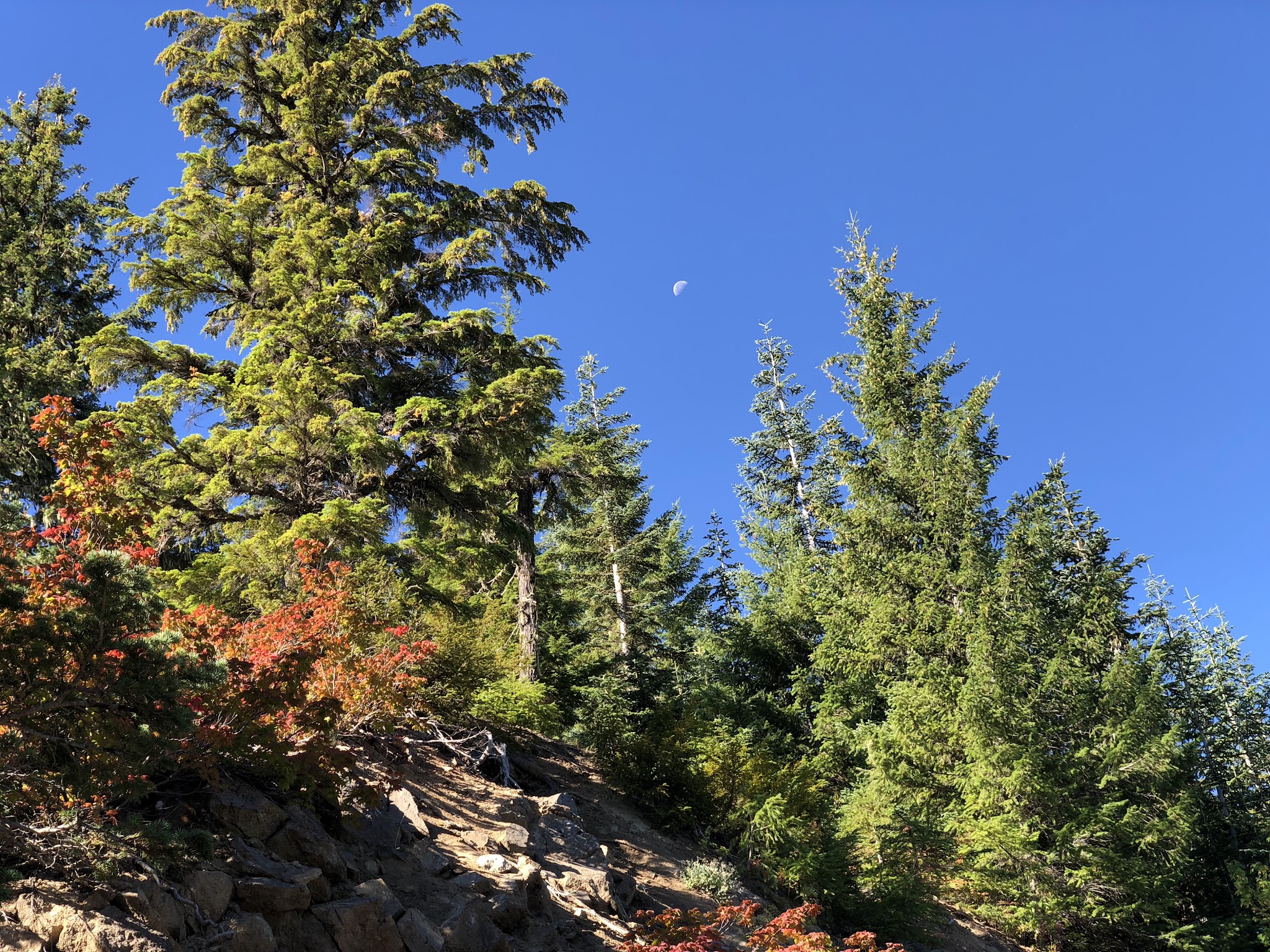 Campground: Cat Creek