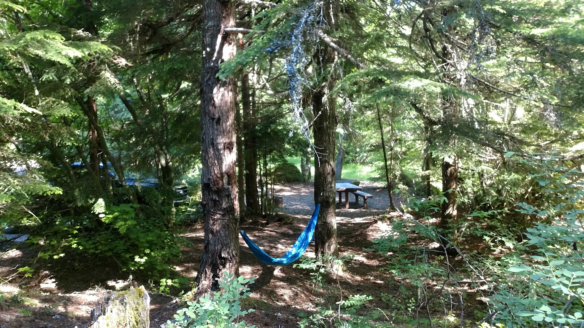 Campground: Cat Creek