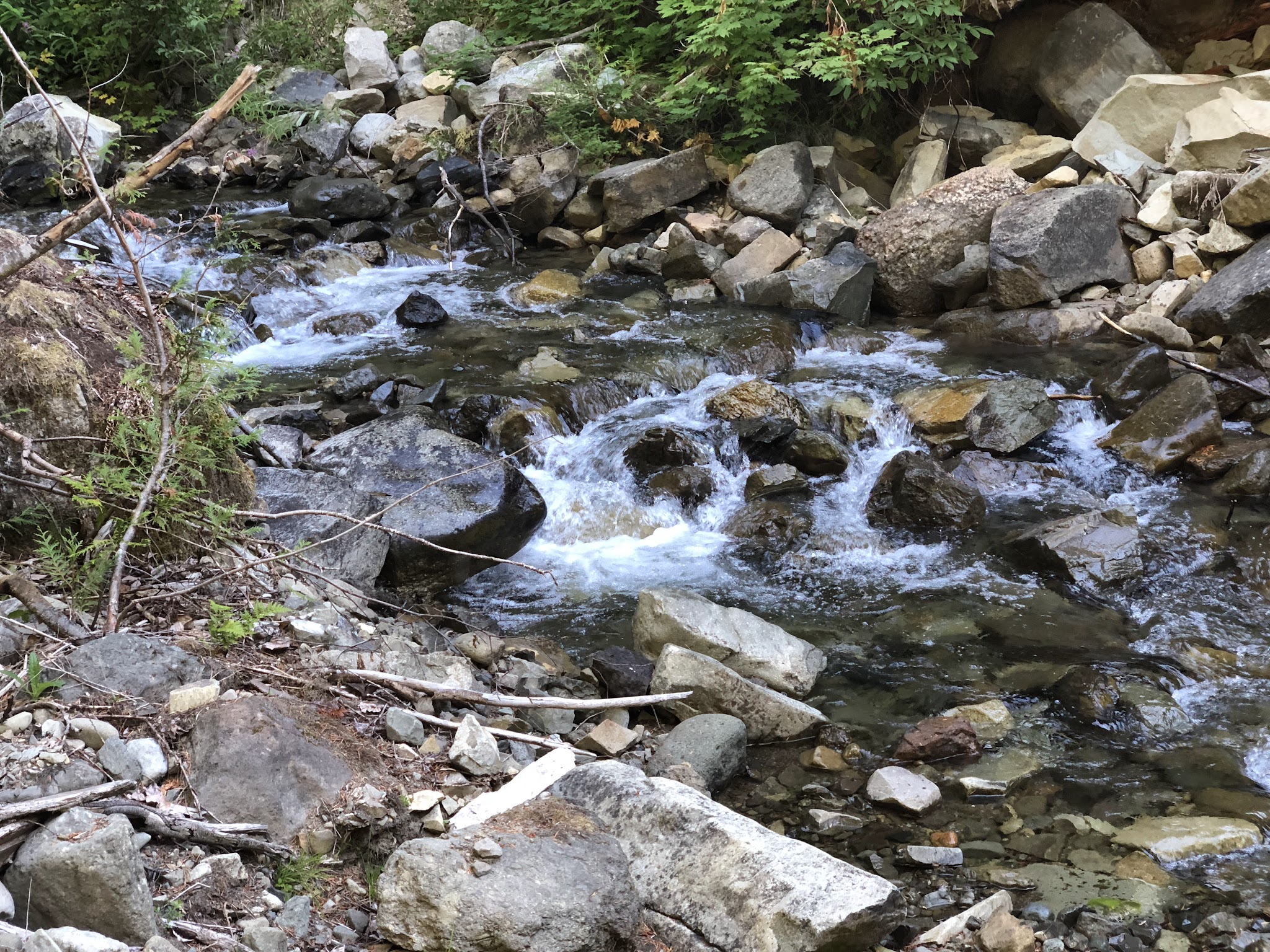 Campground: Cat Creek