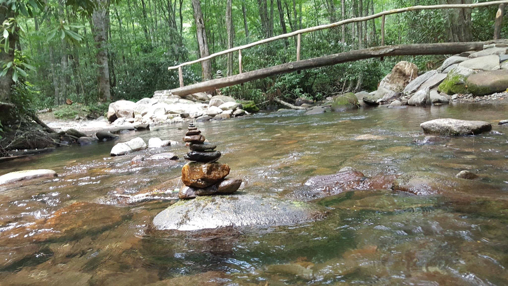 Cataloochee Horse Camp