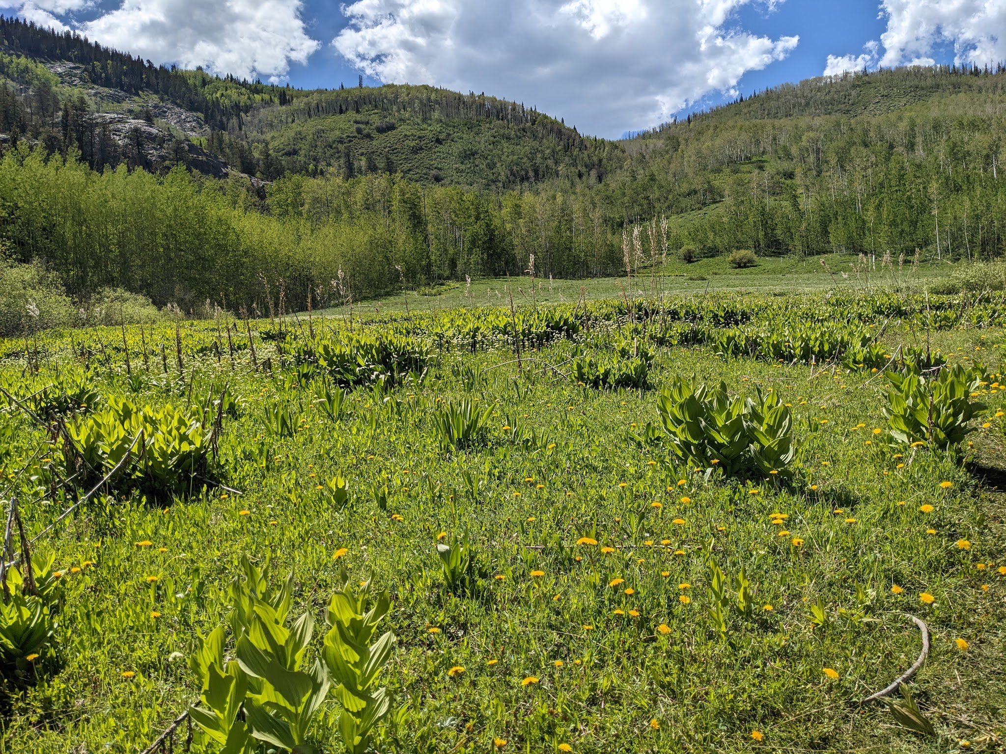 Cataract Creek Campground