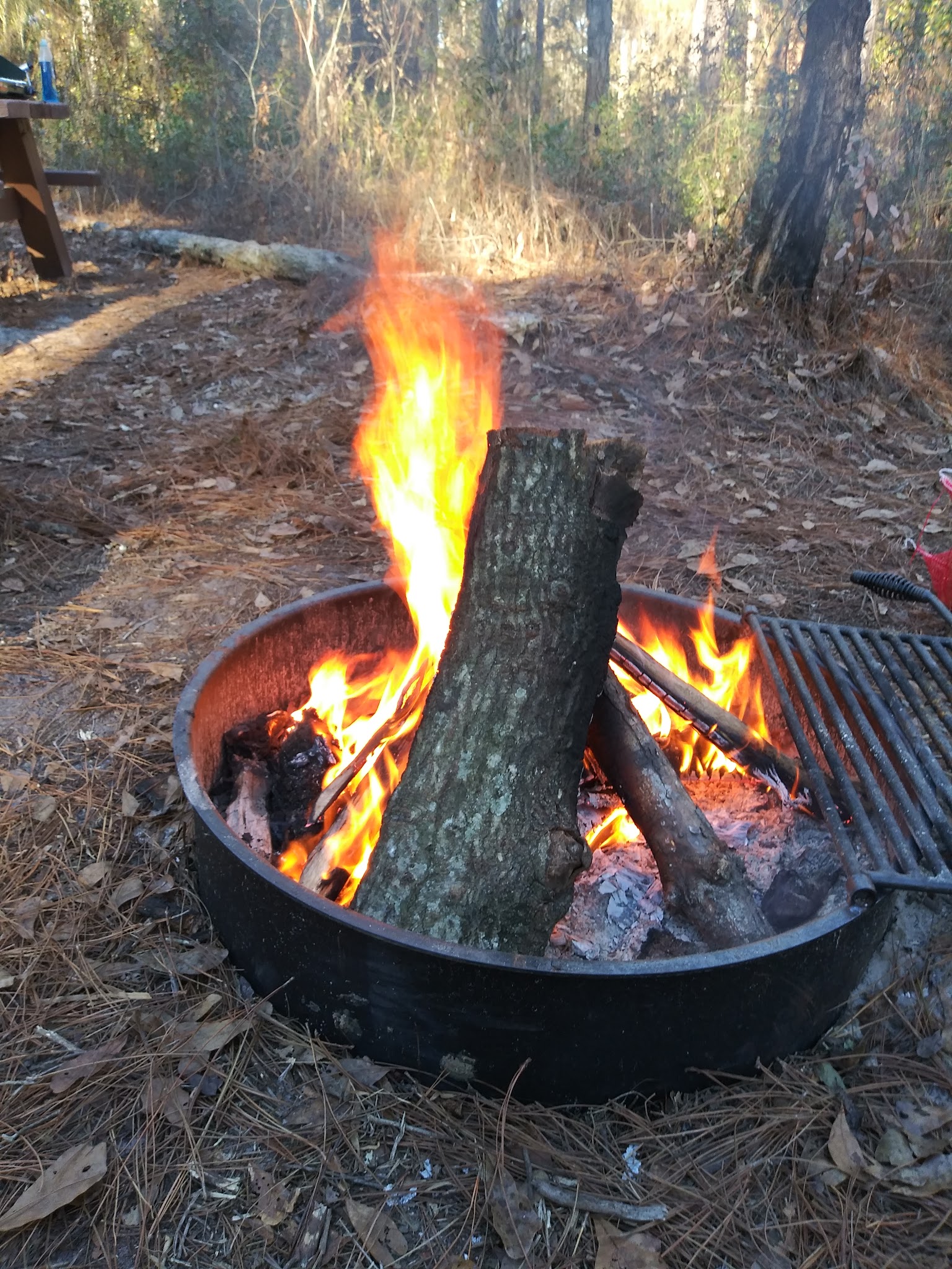 Catface Corner Campground