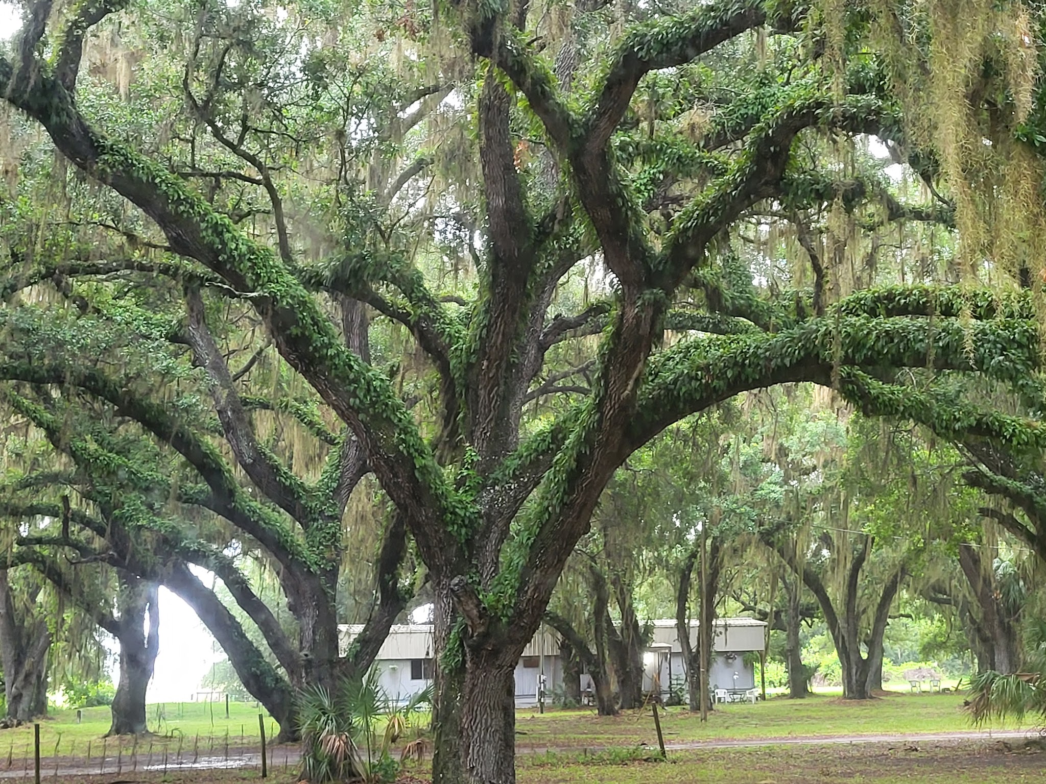 Catfish Creek Preserve State Park Campground
