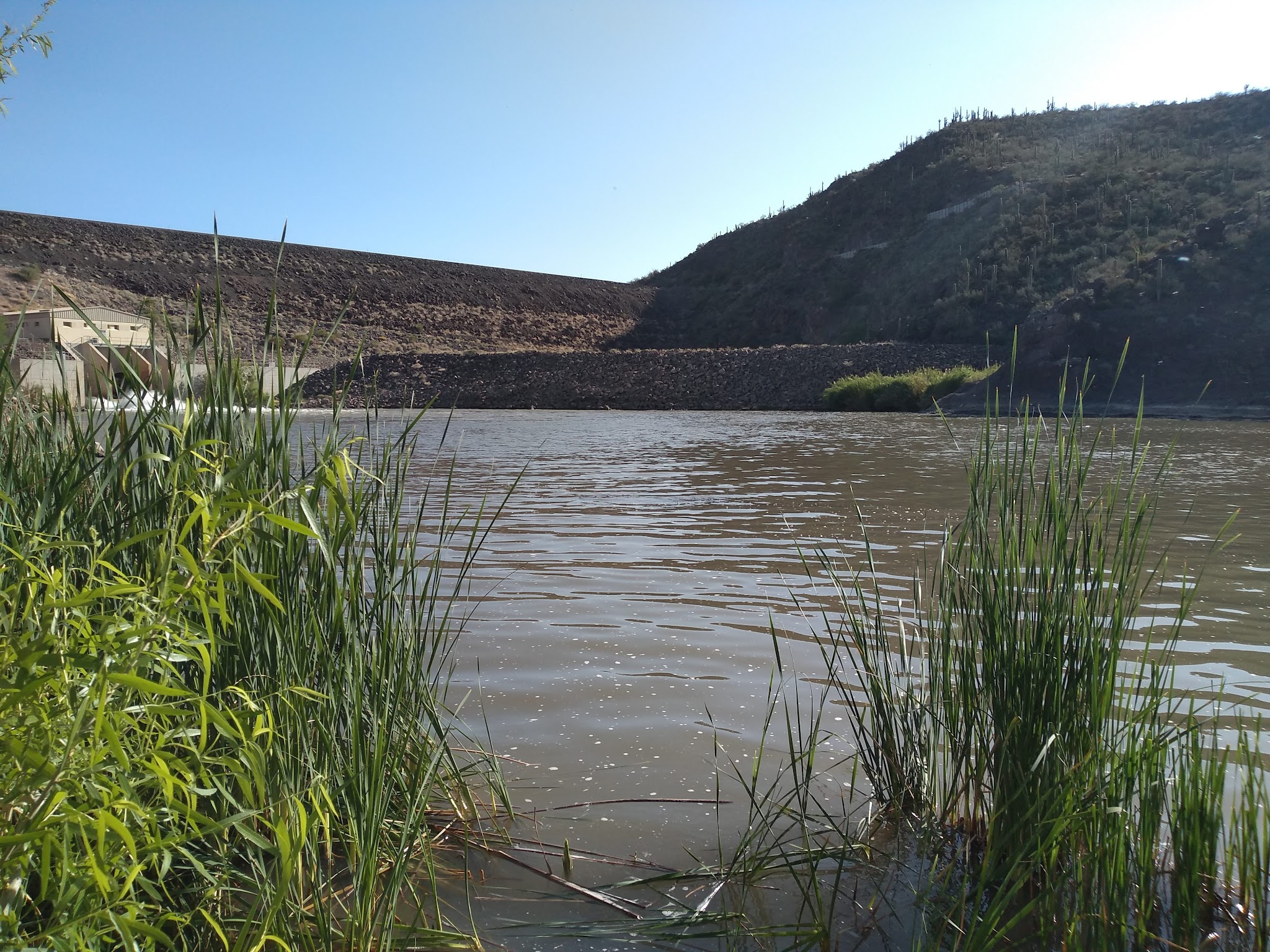 Catfish Point Dispersed Camping Area
