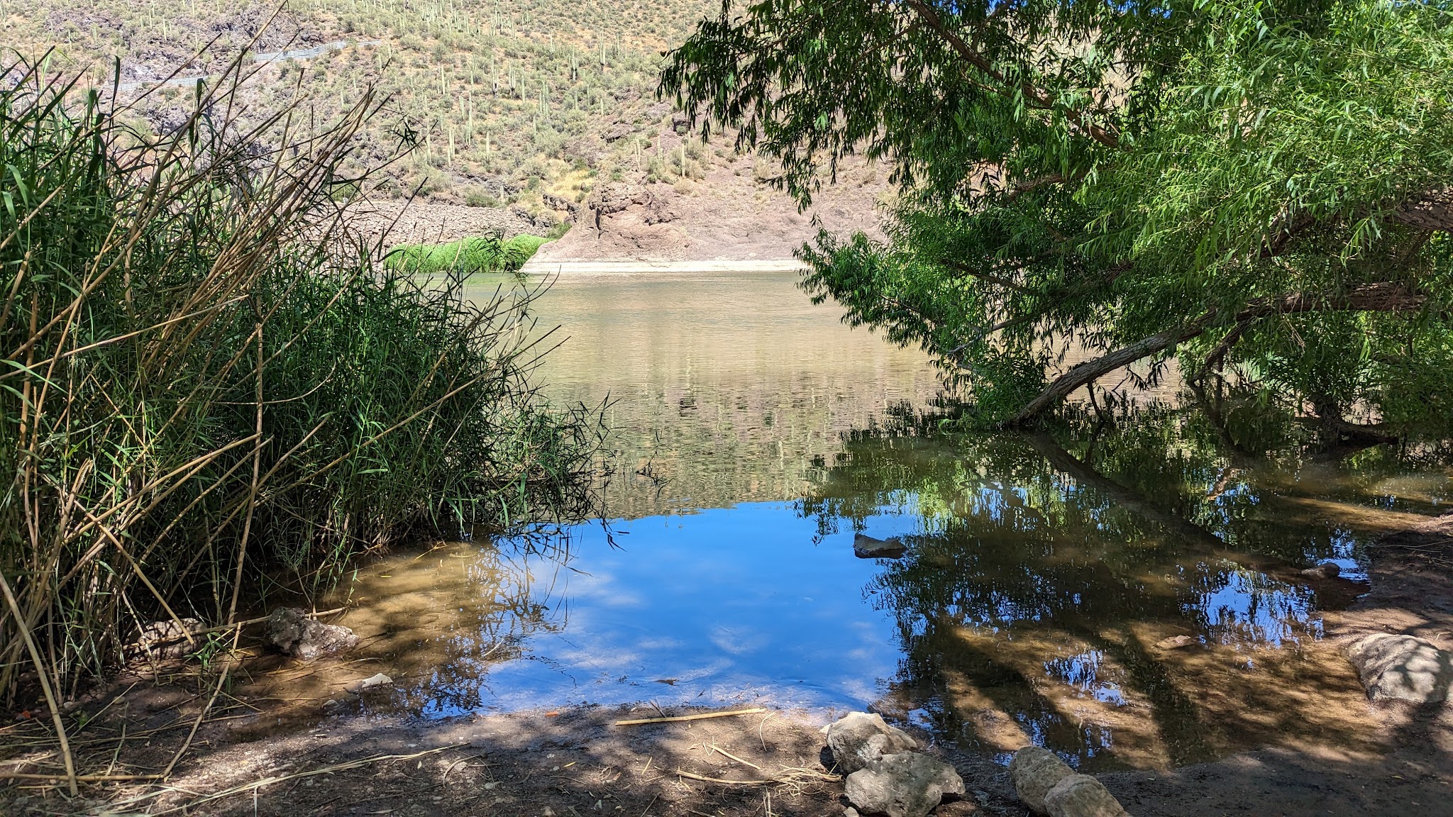 Catfish Point Dispersed Camping Area