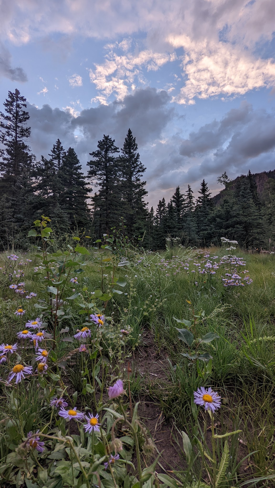 Cathedral Campground