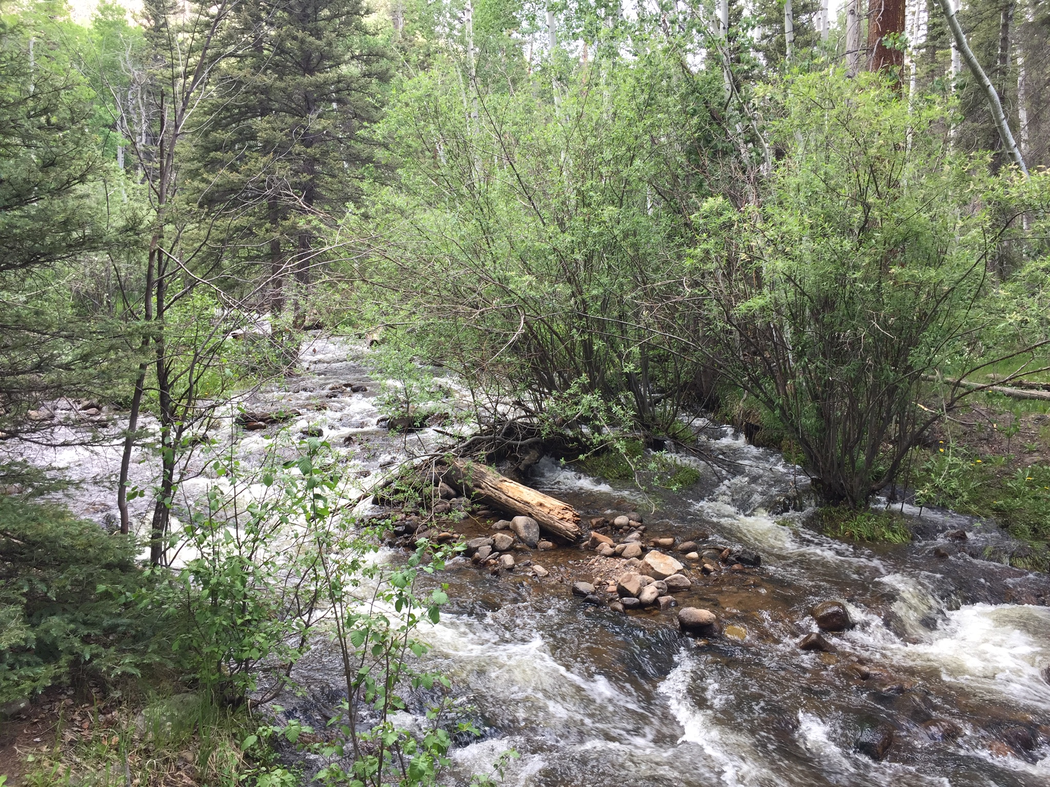 Cathedral Campground