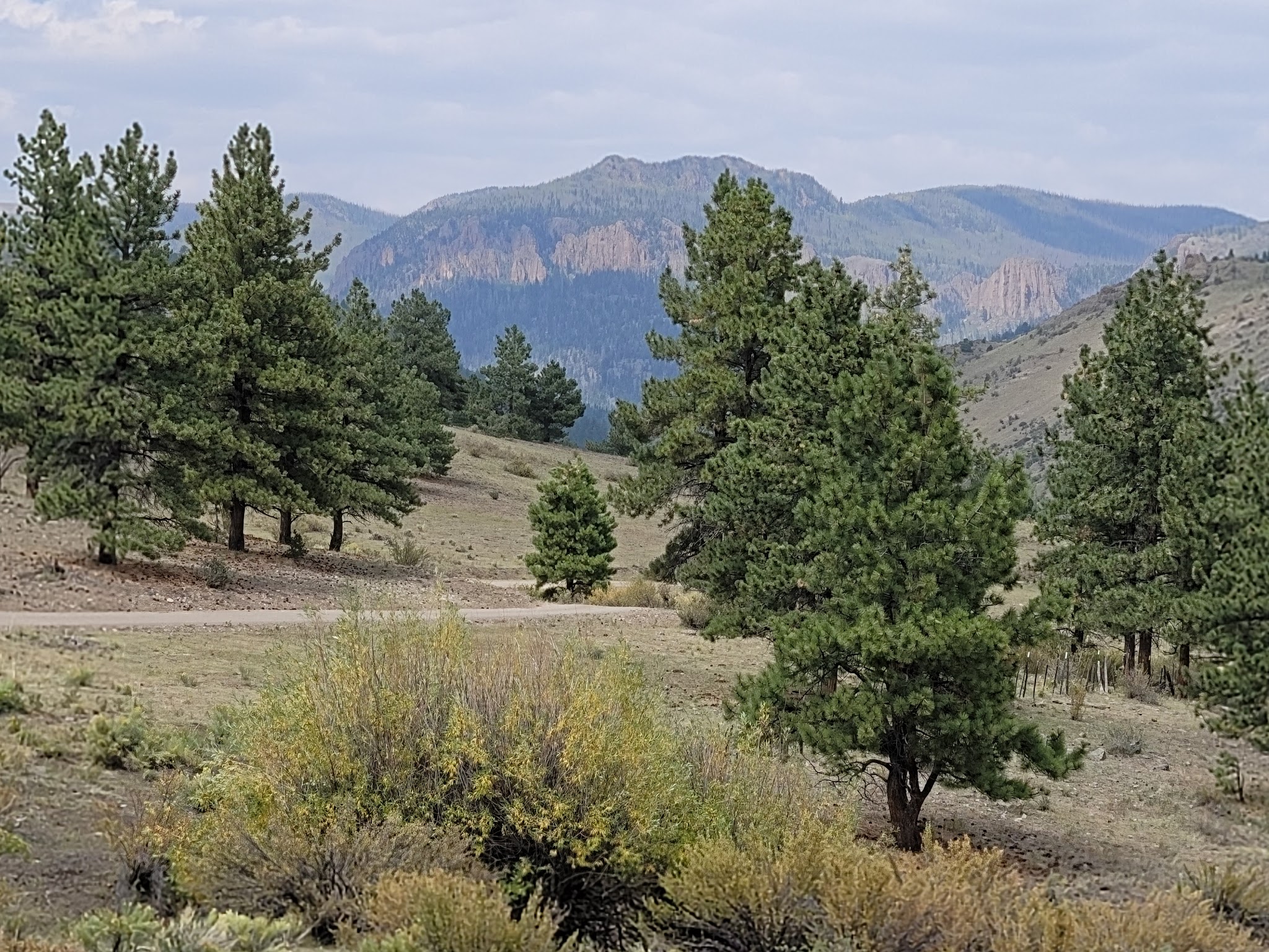 Cathedral Campground