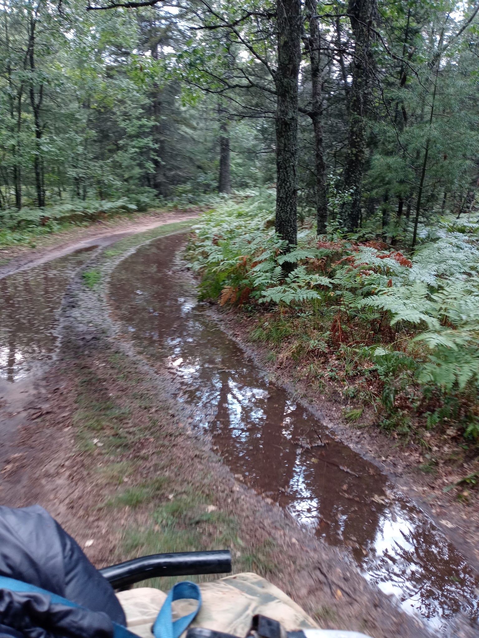 Cathedral Pines Campground