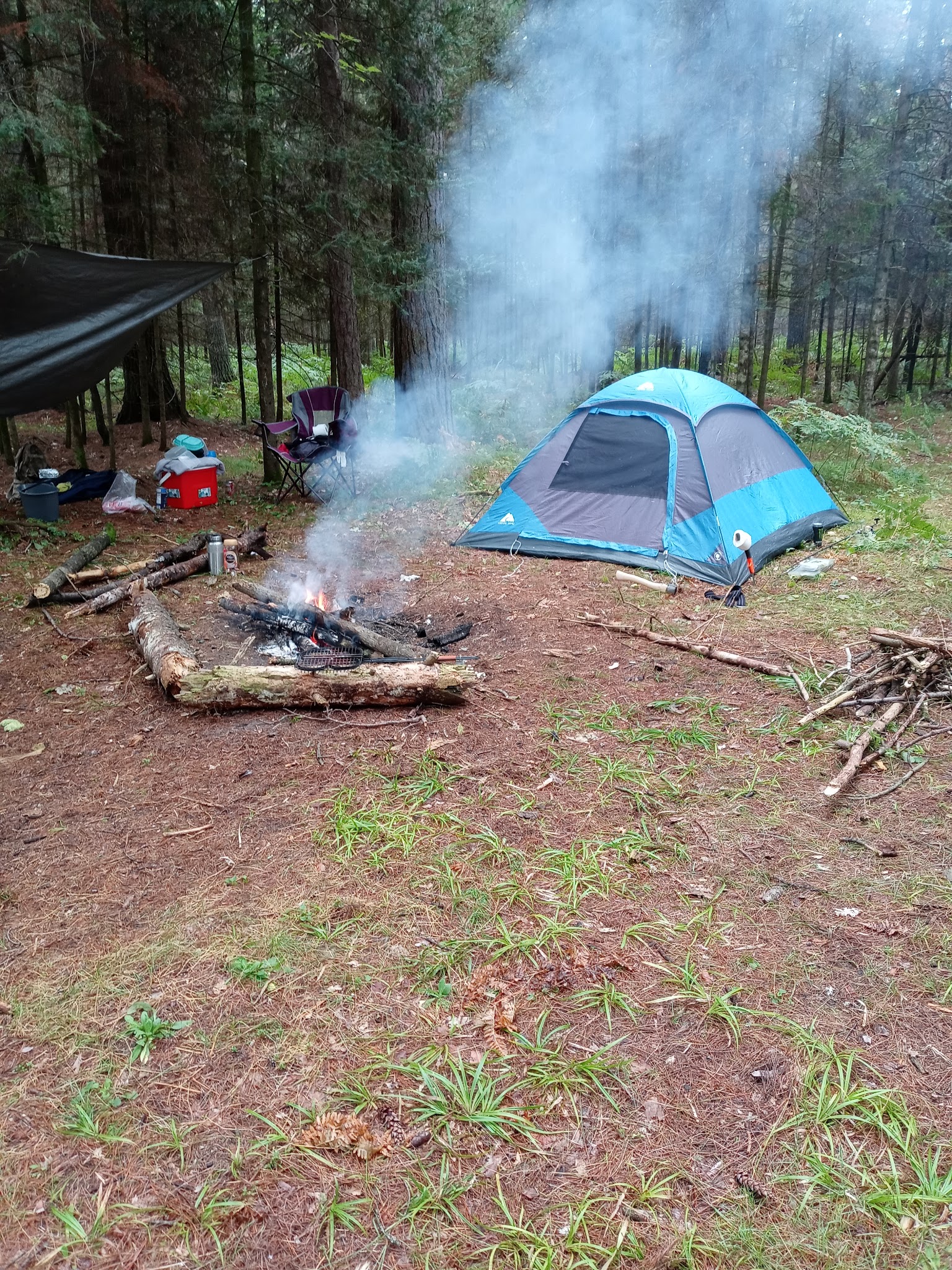 Cathedral Pines Campground