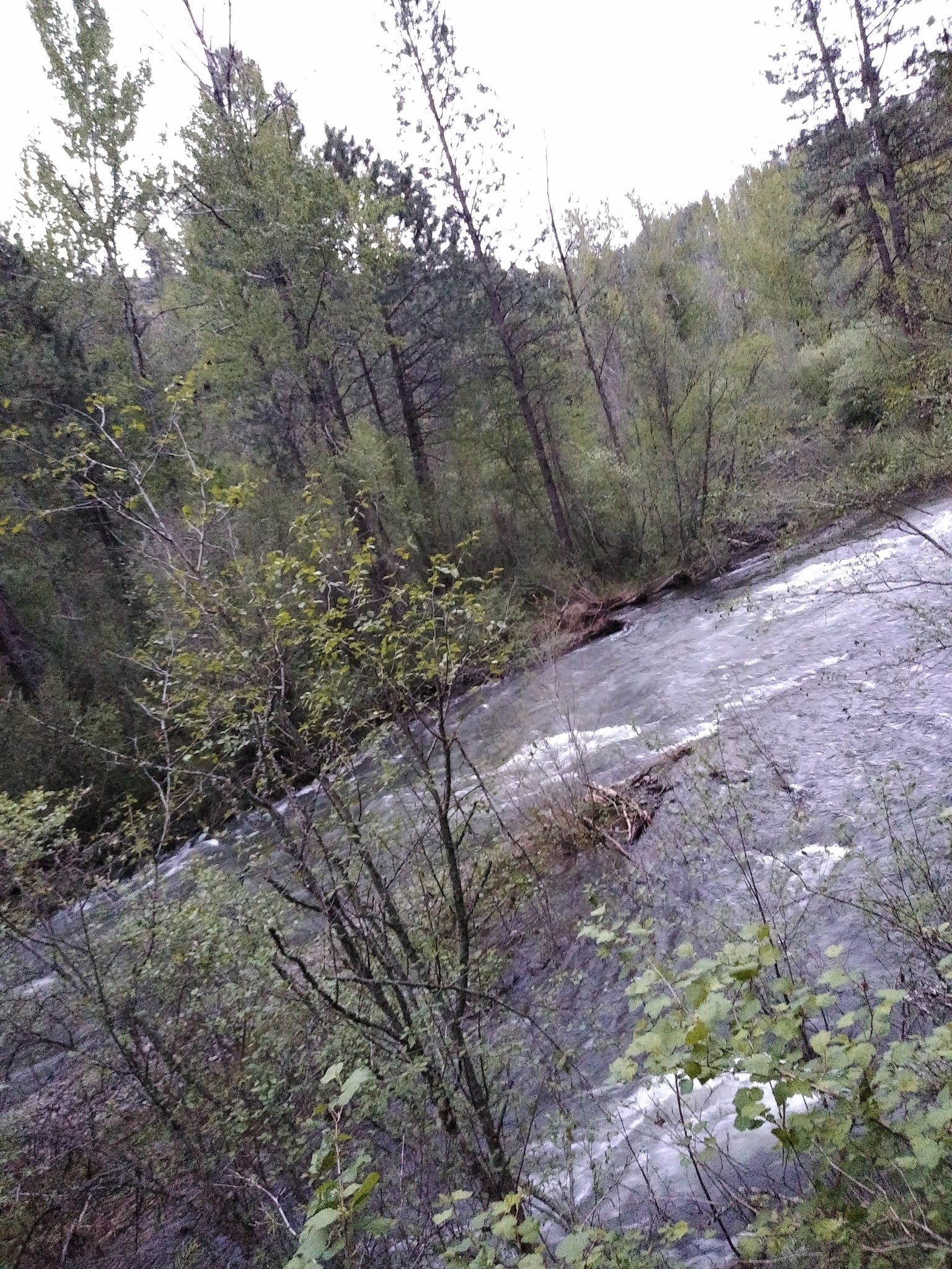Catherine Creek State Park
