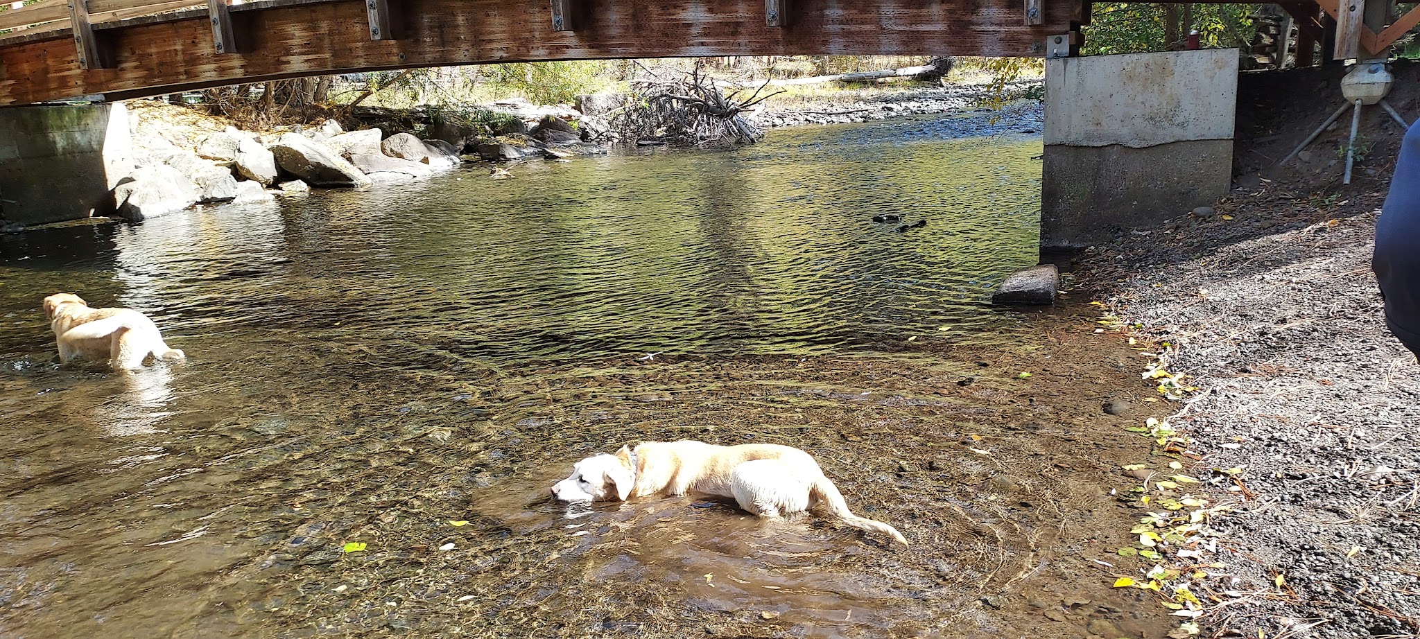 Catherine Creek State Park