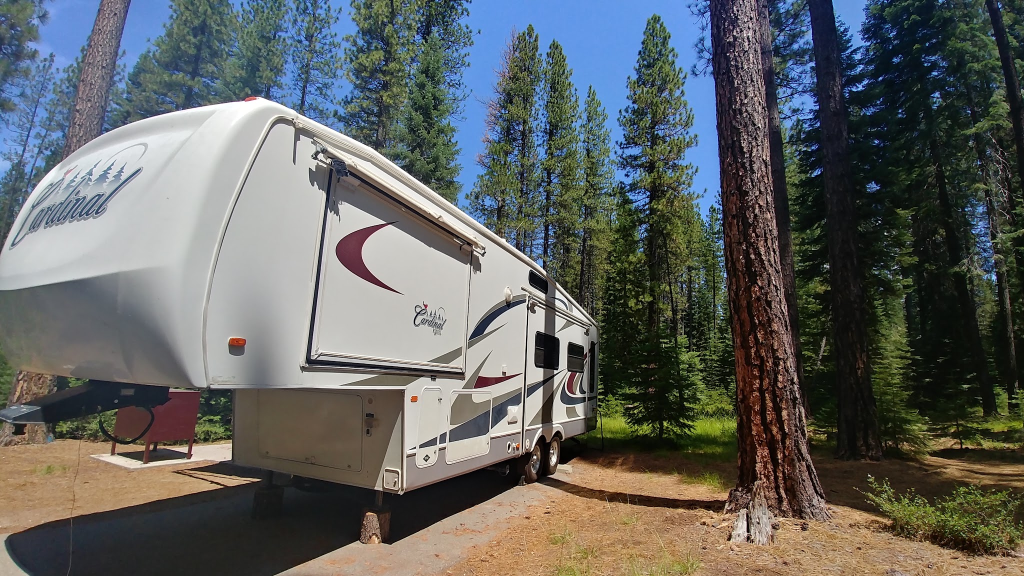 Cattle Camp Campground