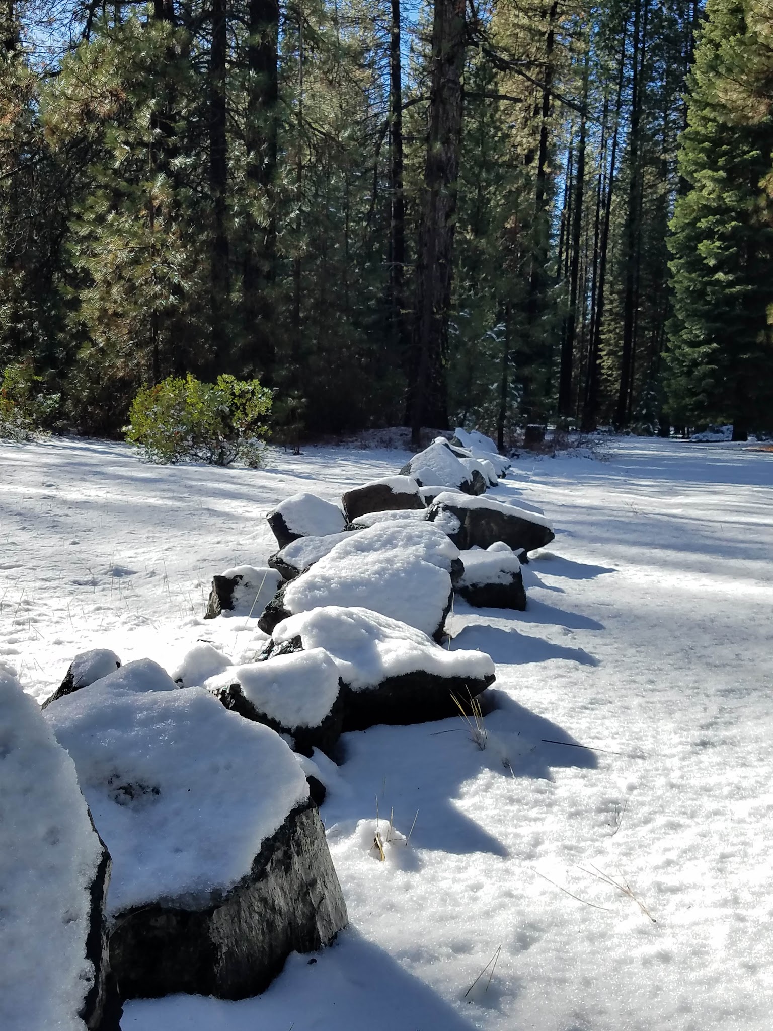 Cattle Camp Campground