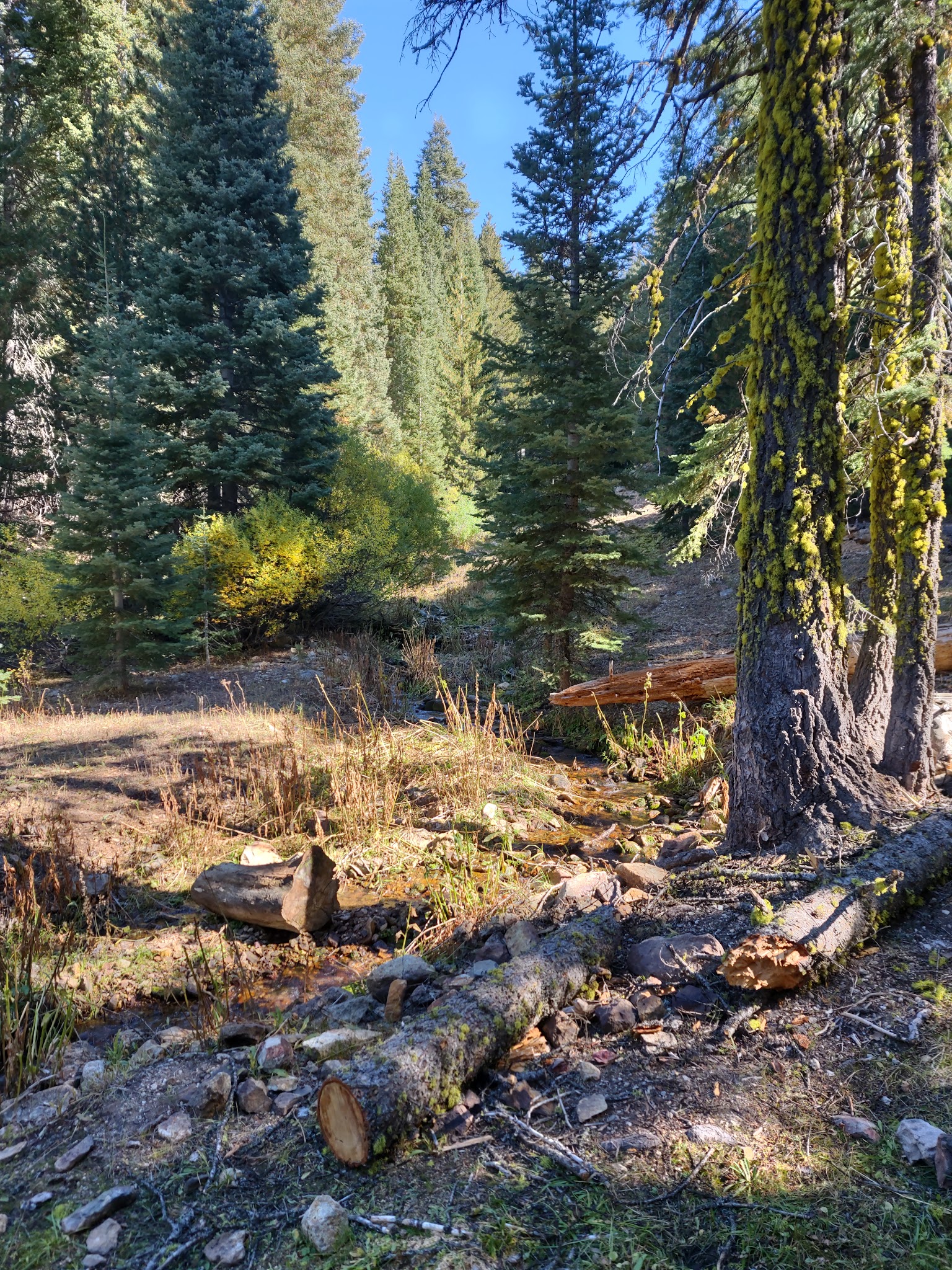 Cave Lake Campground