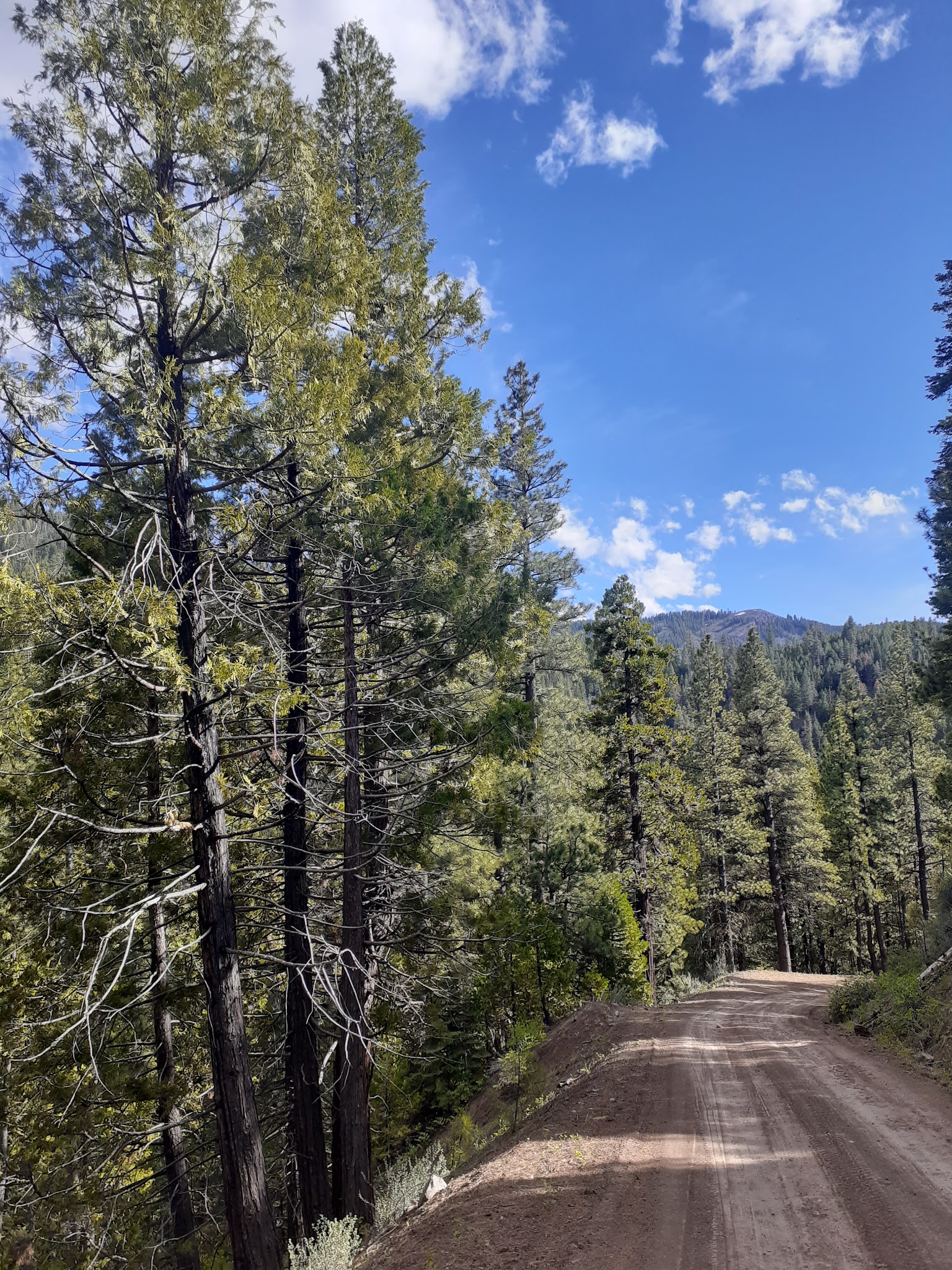 Cave Lake Campground