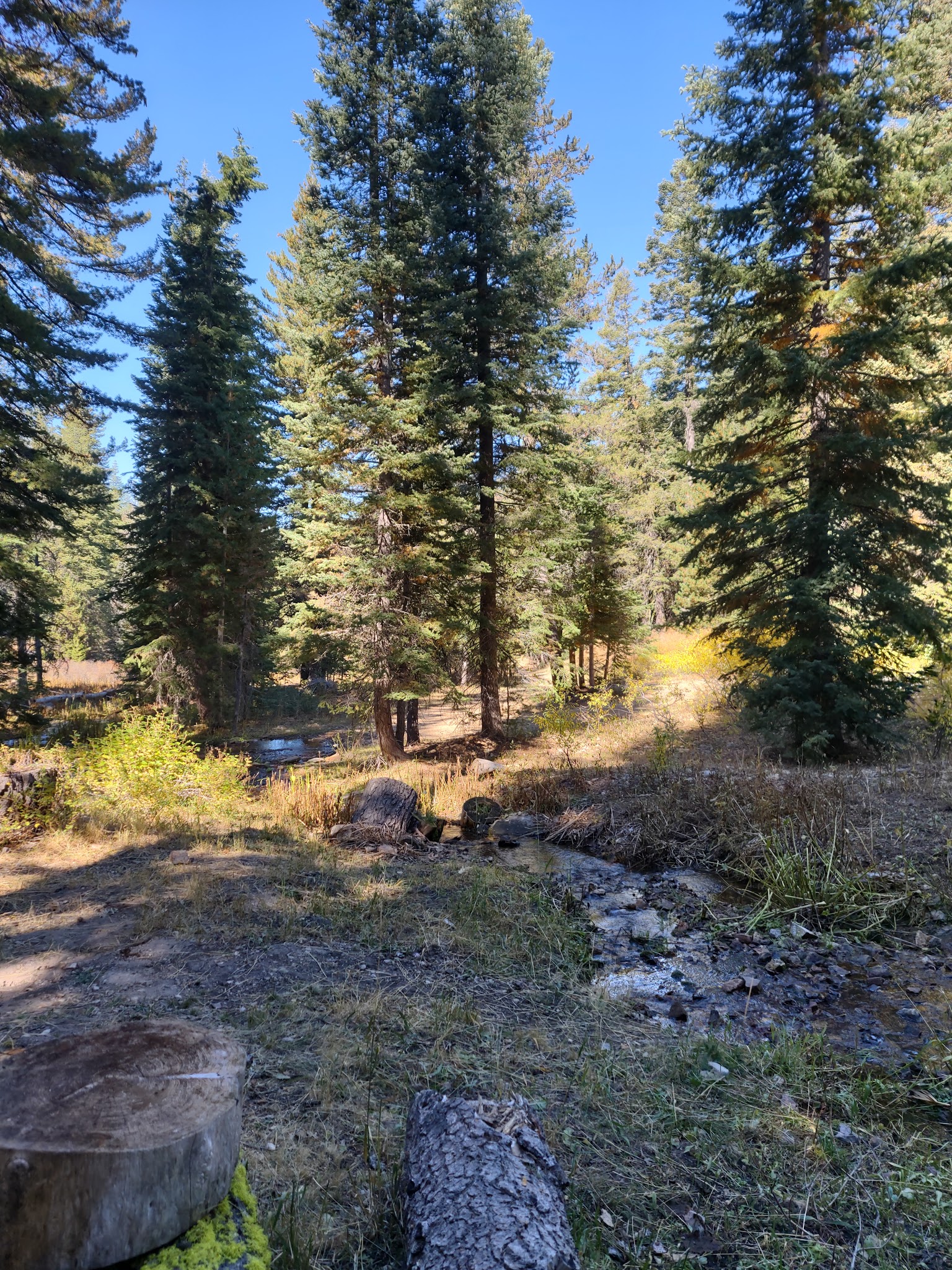 Cave Lake Campground