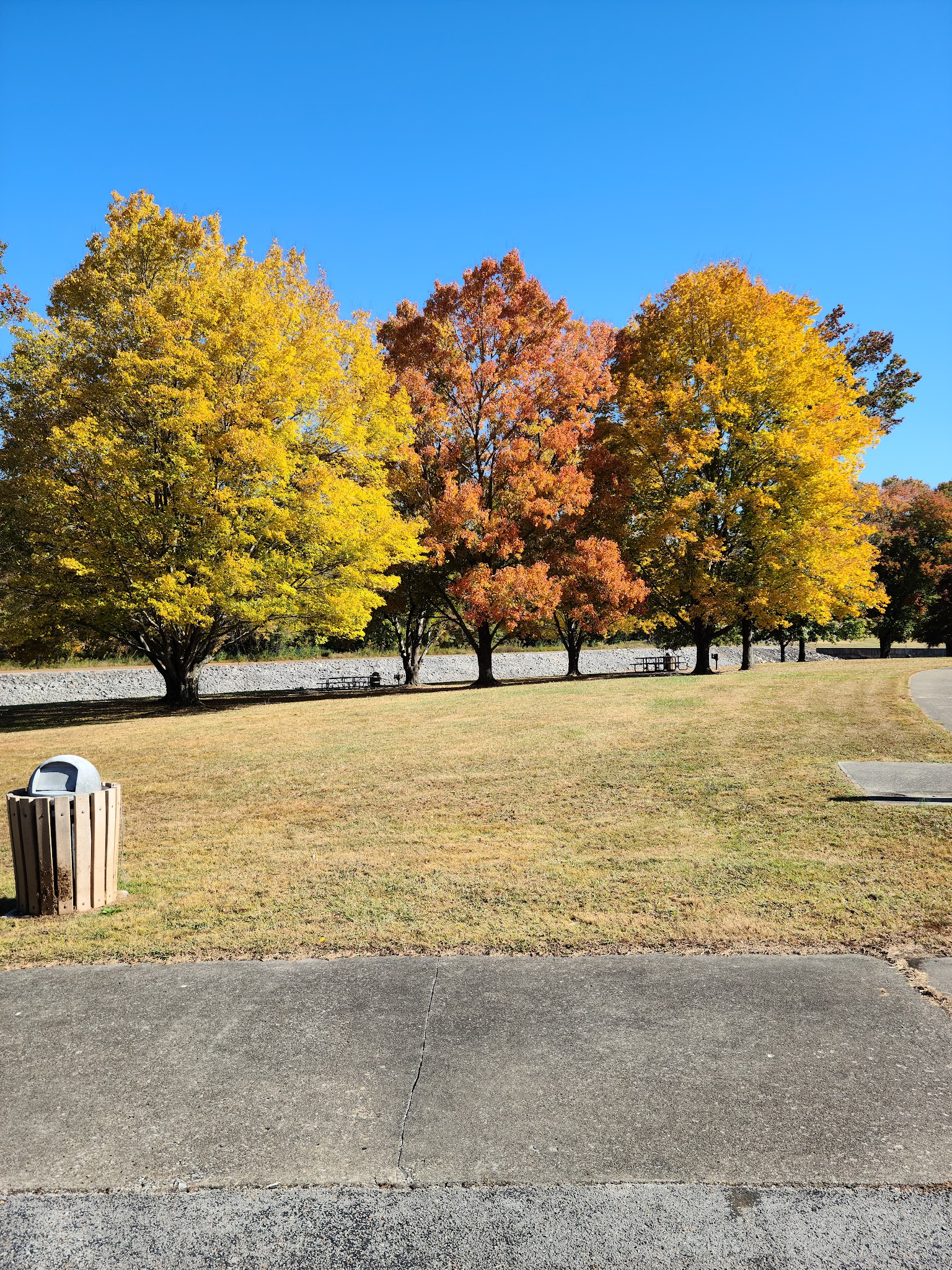 Cave Run Dam Tailwater