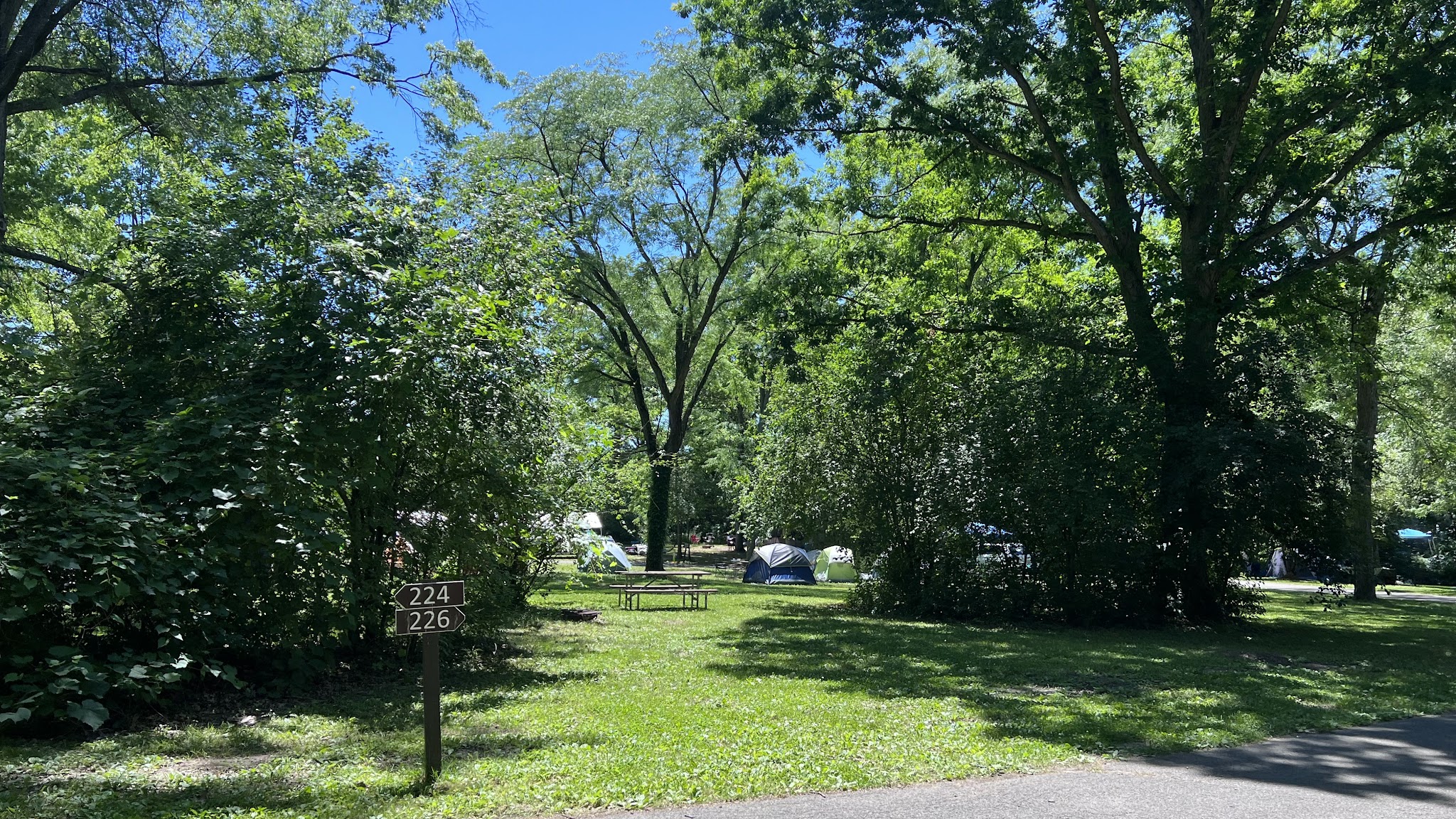 Cayuga Lake State Park