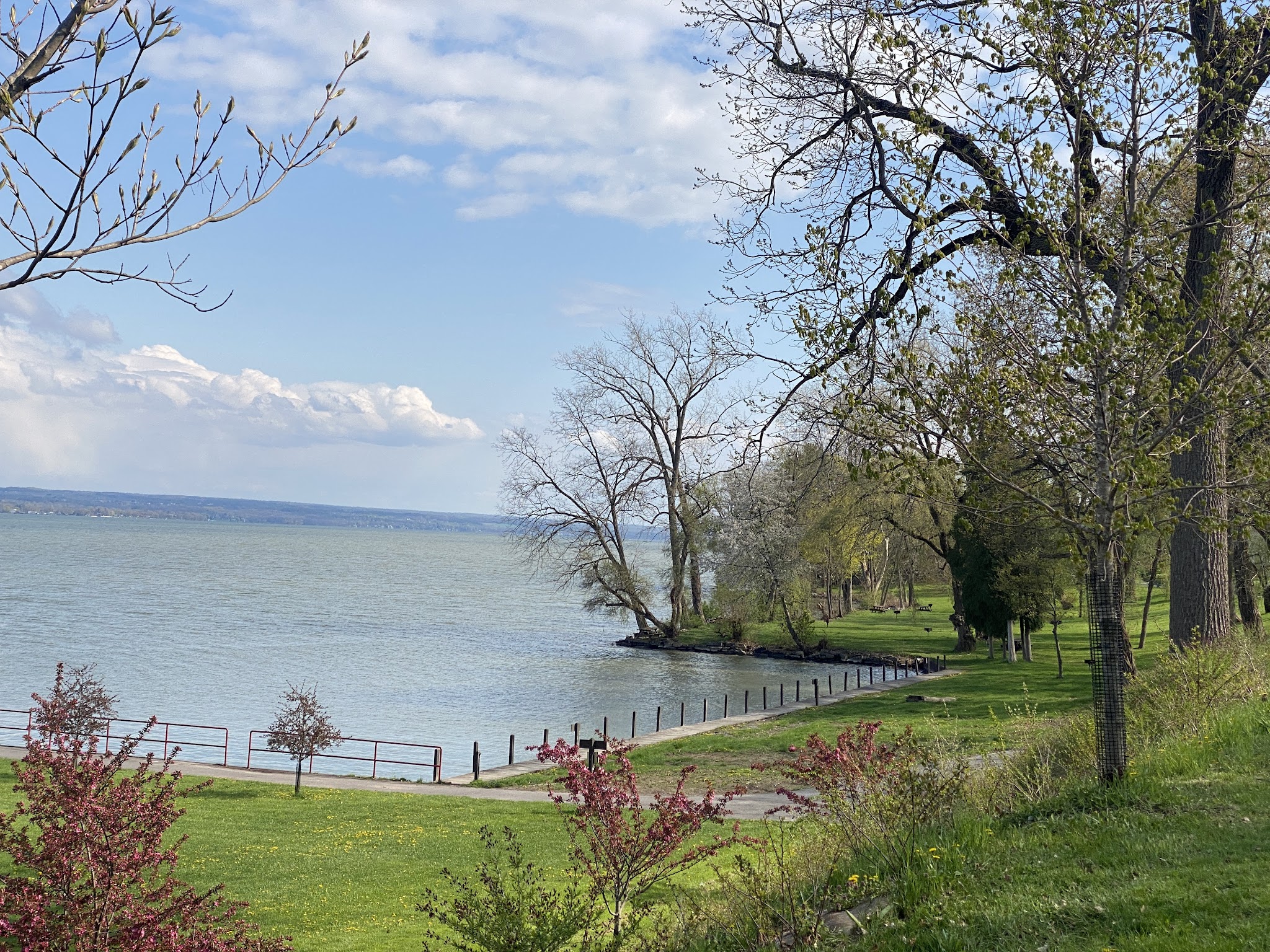 Cayuga Lake State Park