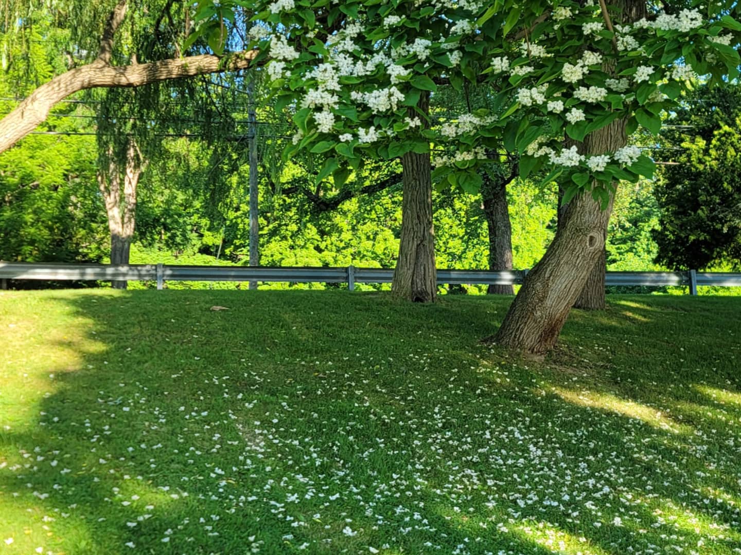 Cayuga Lake State Park