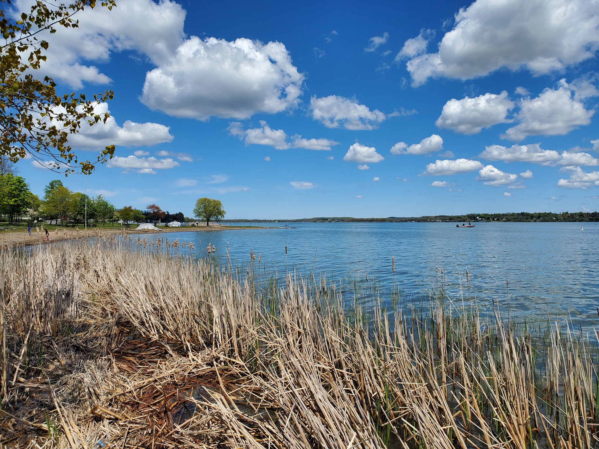 Cayuga Lake State Park