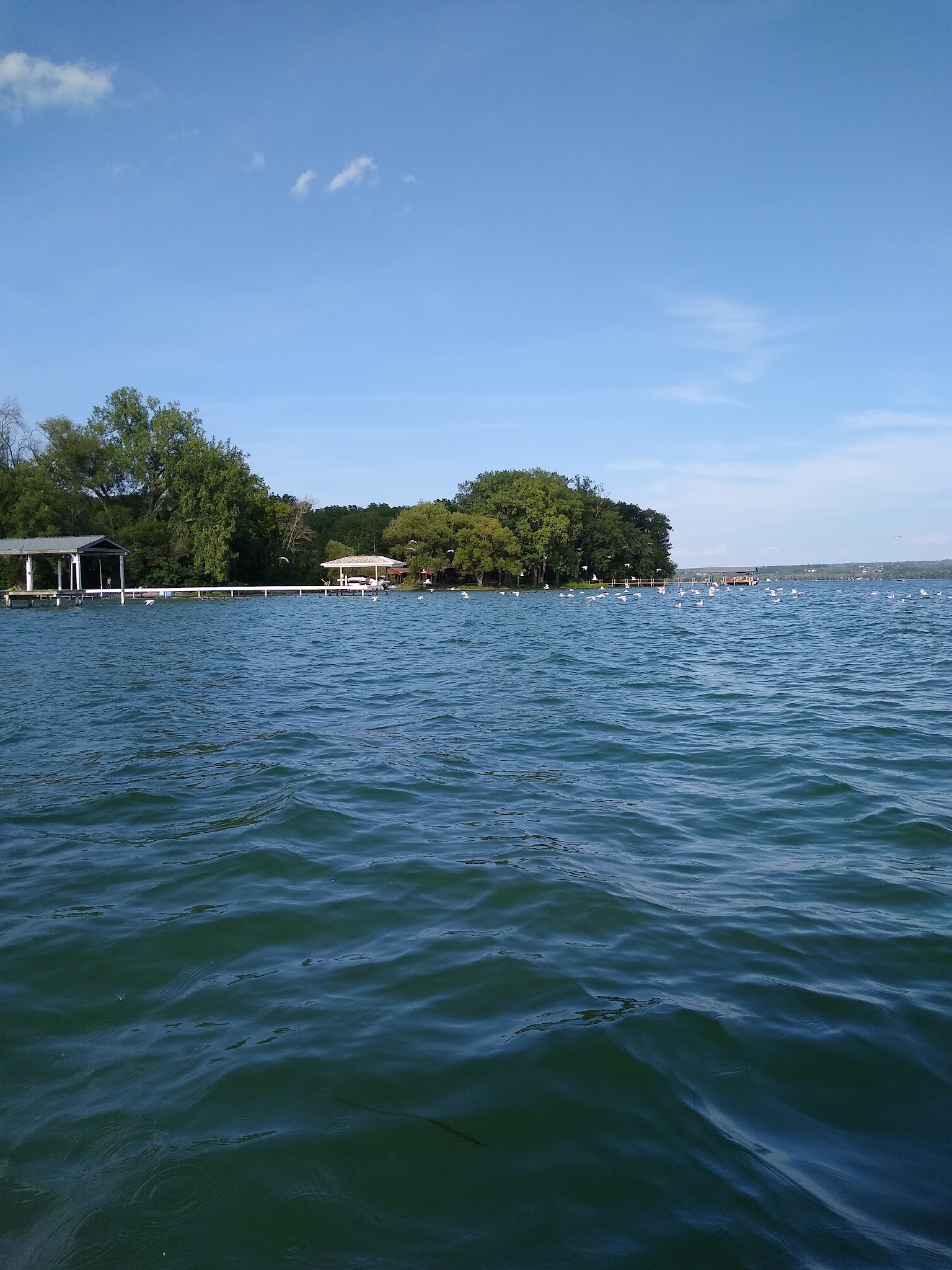 Cayuga Lake State Park