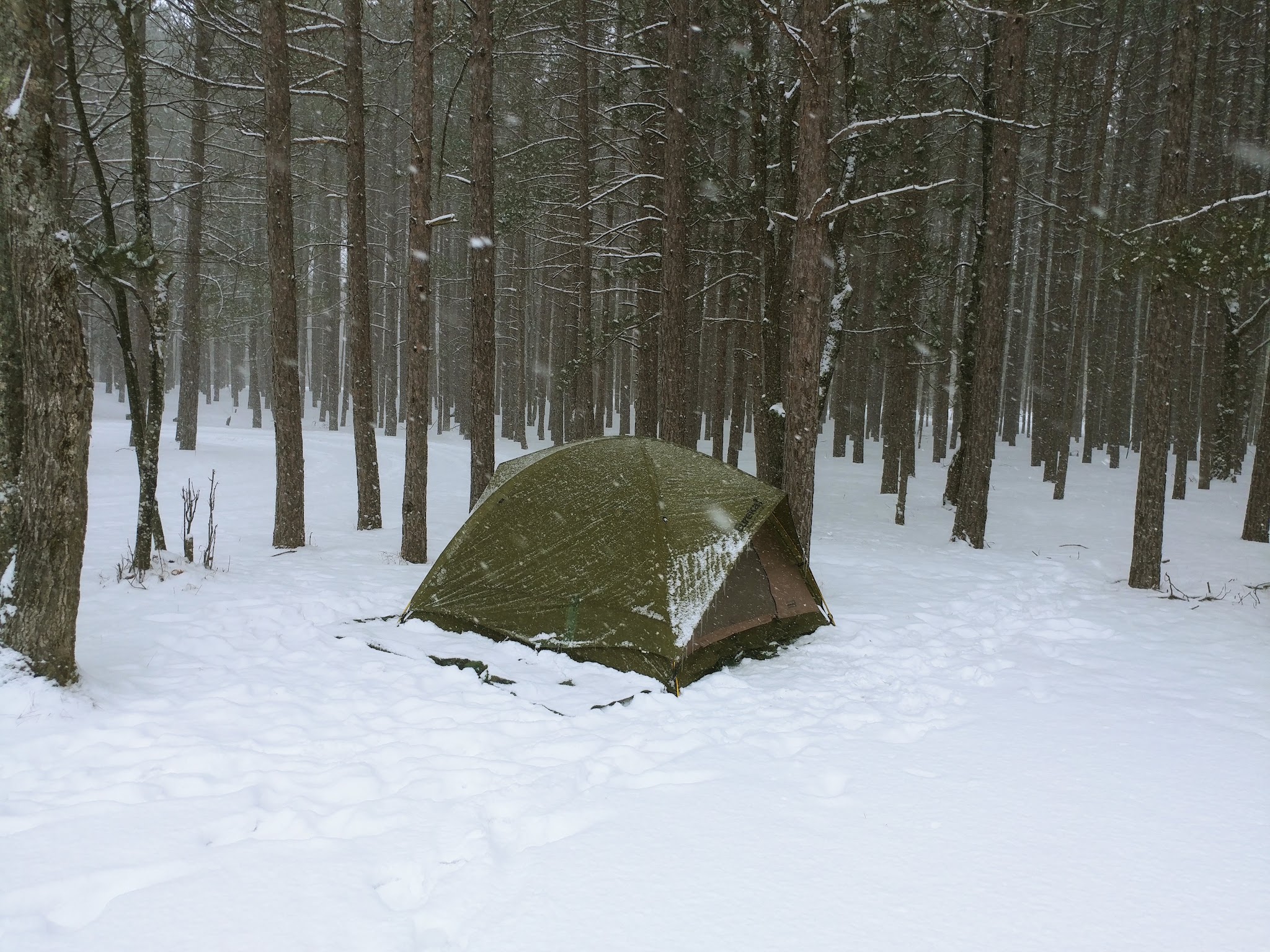 Ccc Bridge State Forest Campground